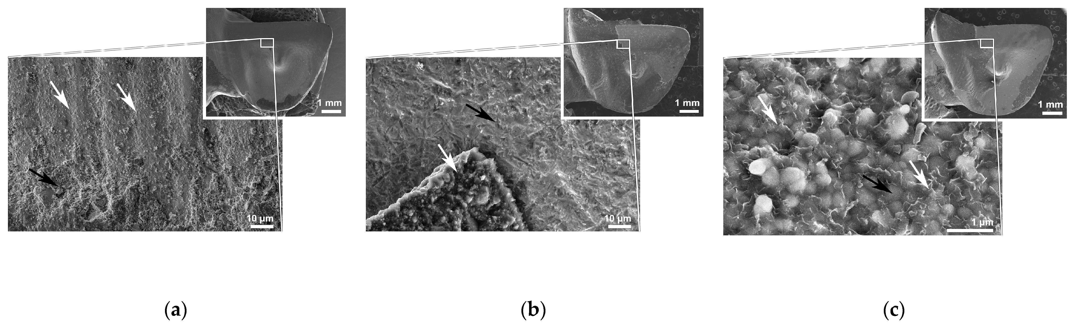 Materials 16 02646 g007 Materials 16 02646 g007