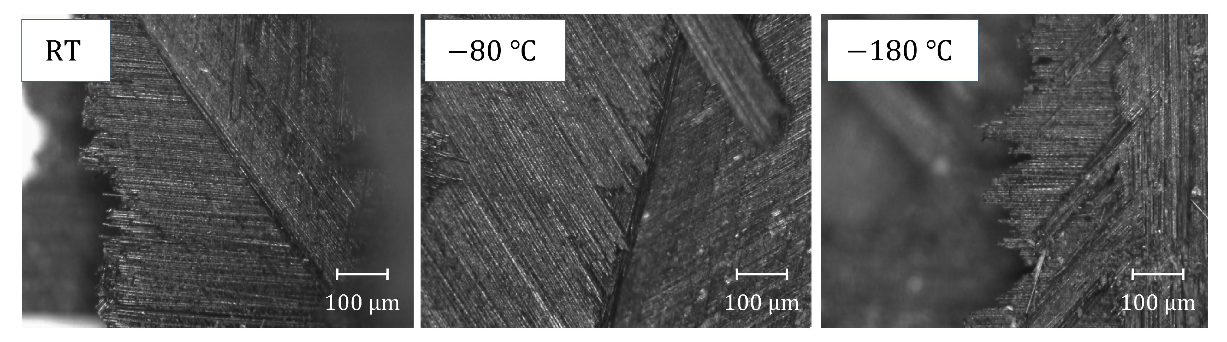 Materials 16 02654 g010