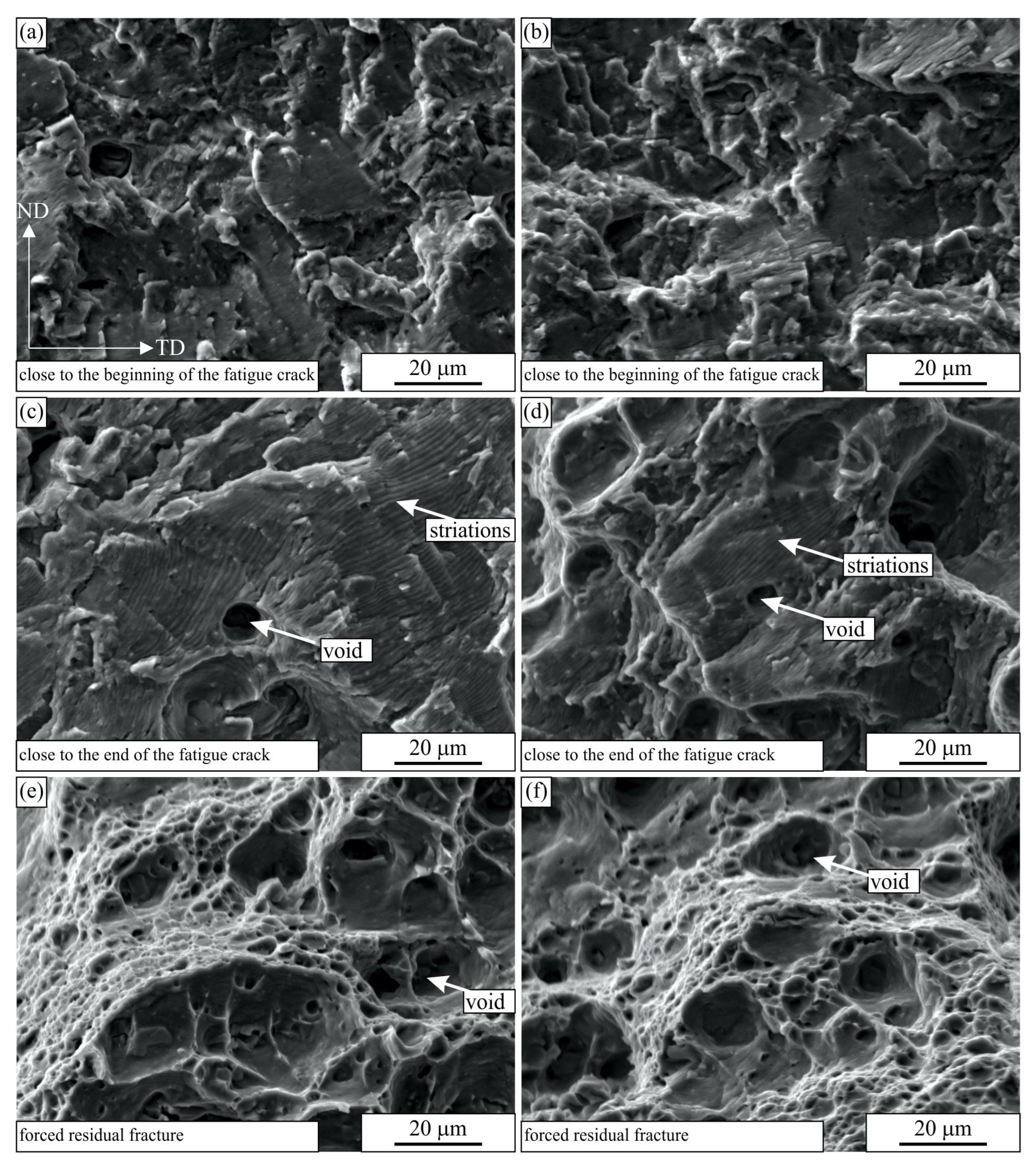 Materials 16 02674 g010 Materials 16 02674 g010