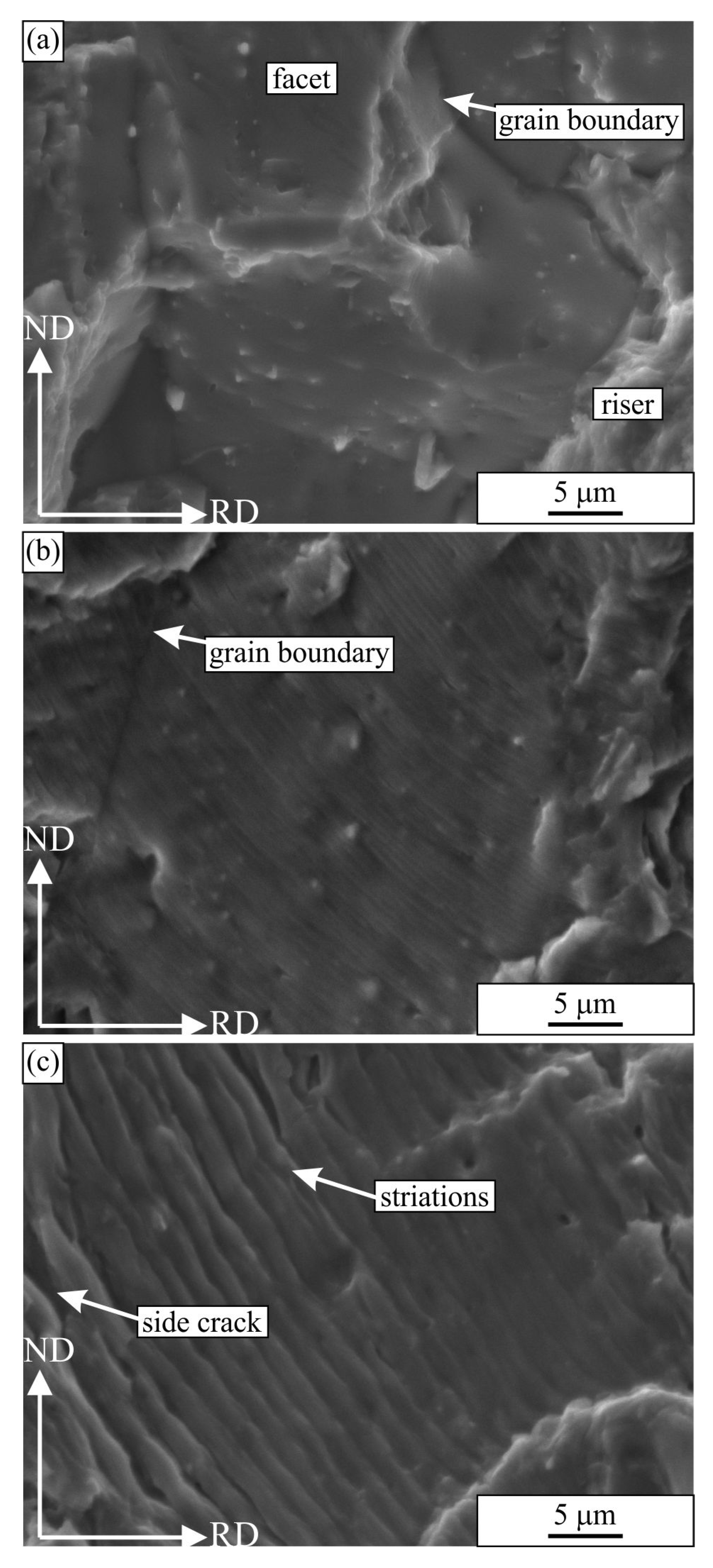 Materials 16 02674 g012 Materials 16 02674 g012
