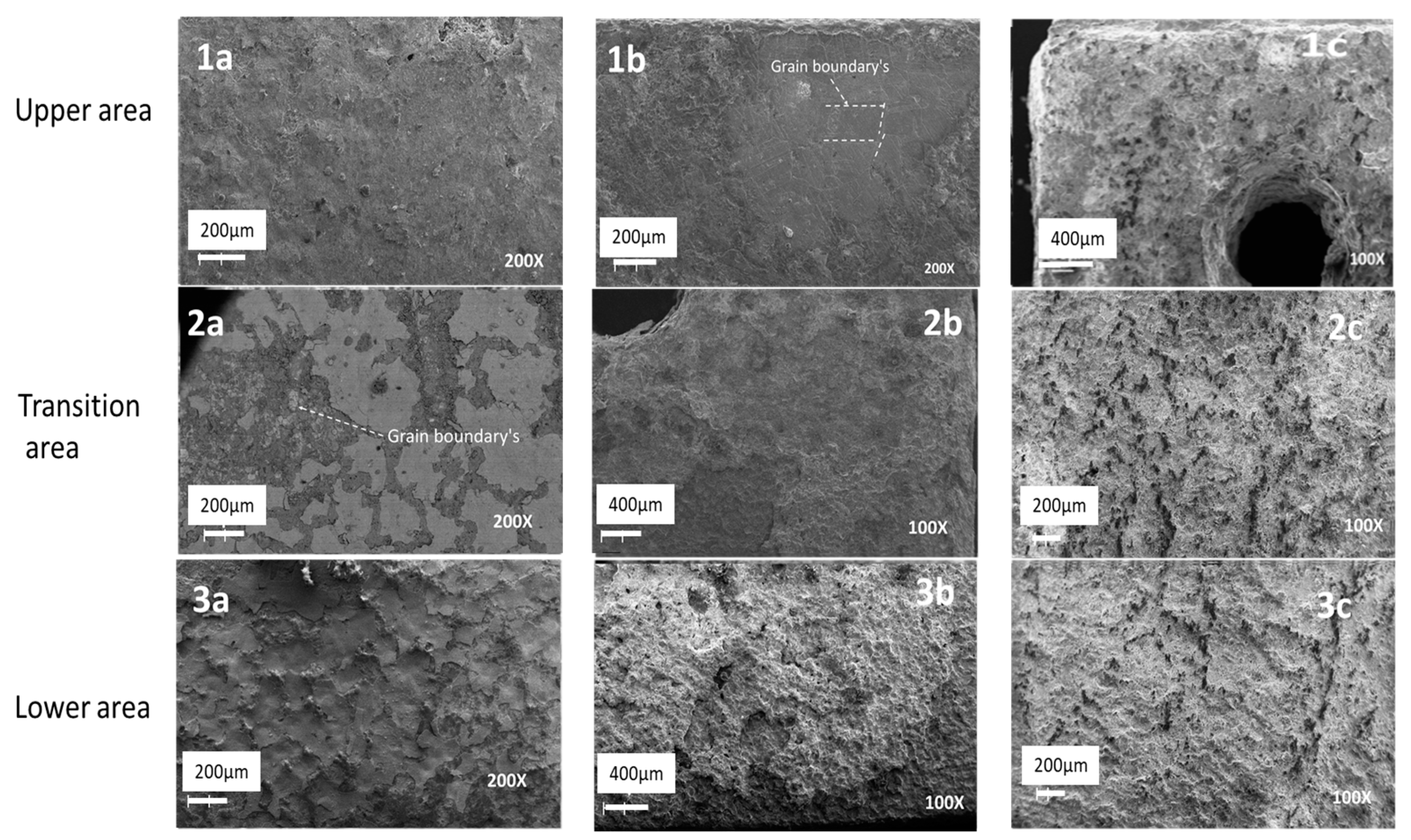 Materials 16 02679 g004