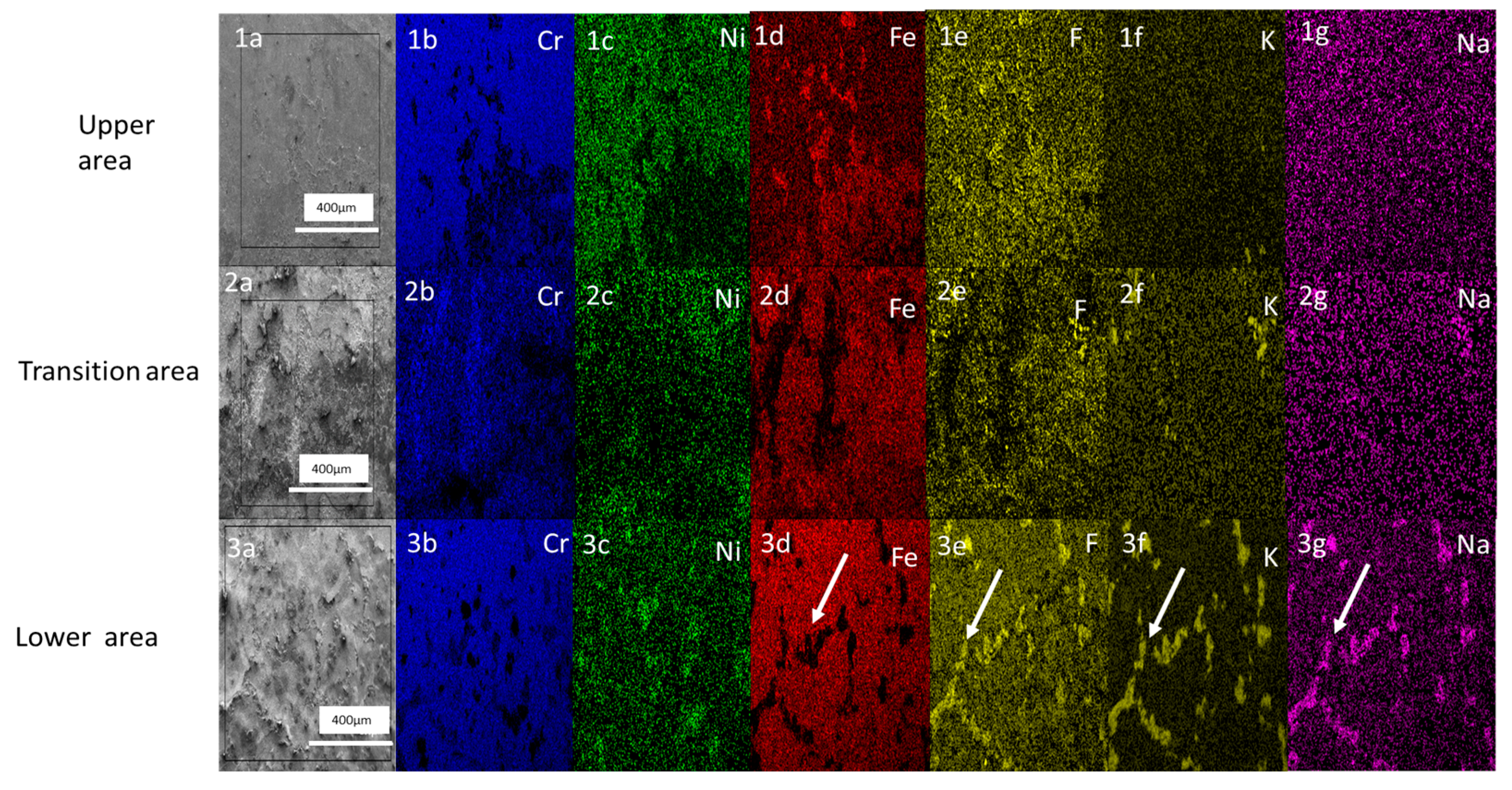 Materials 16 02679 g005