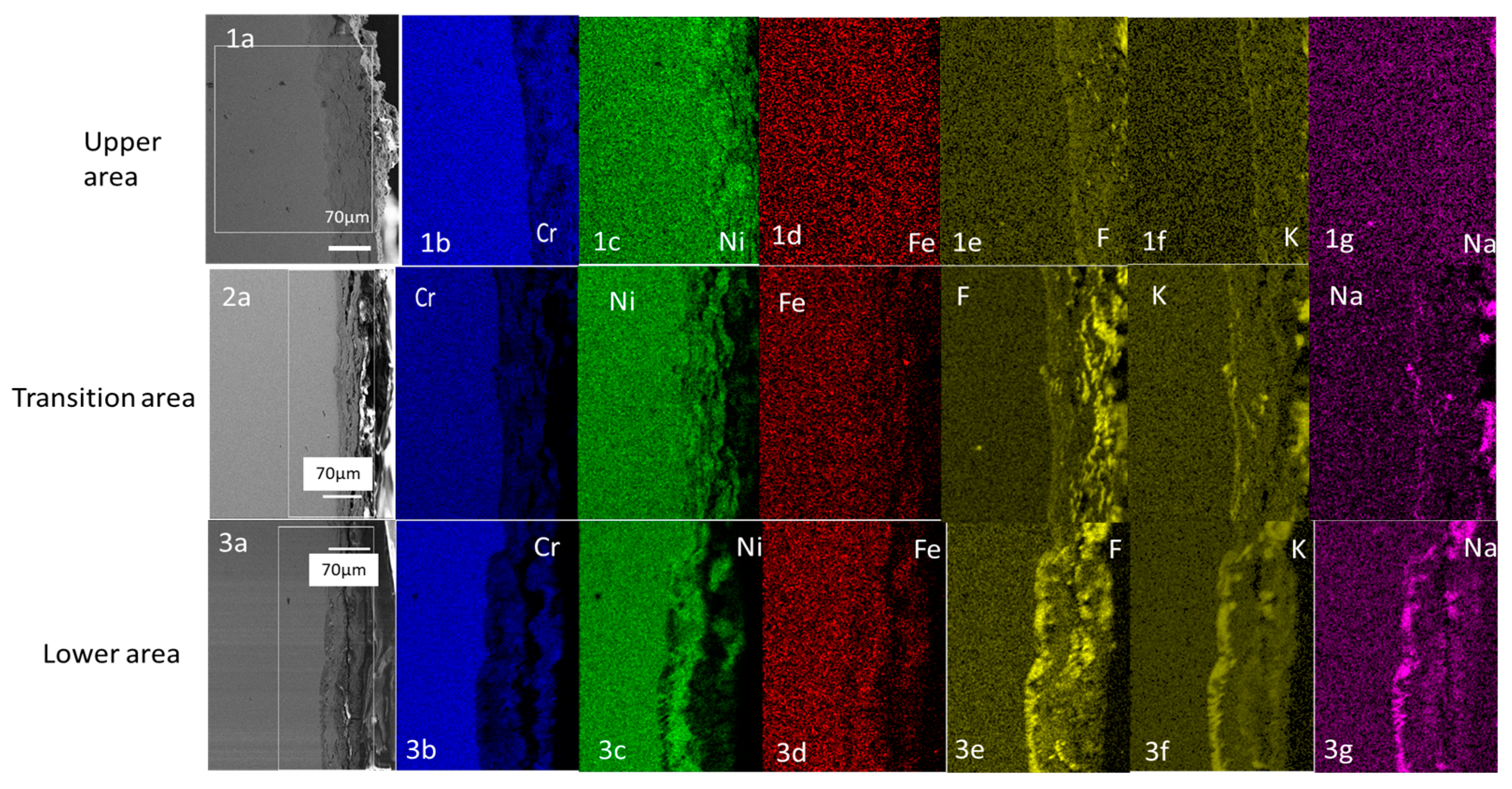 Materials 16 02679 g010