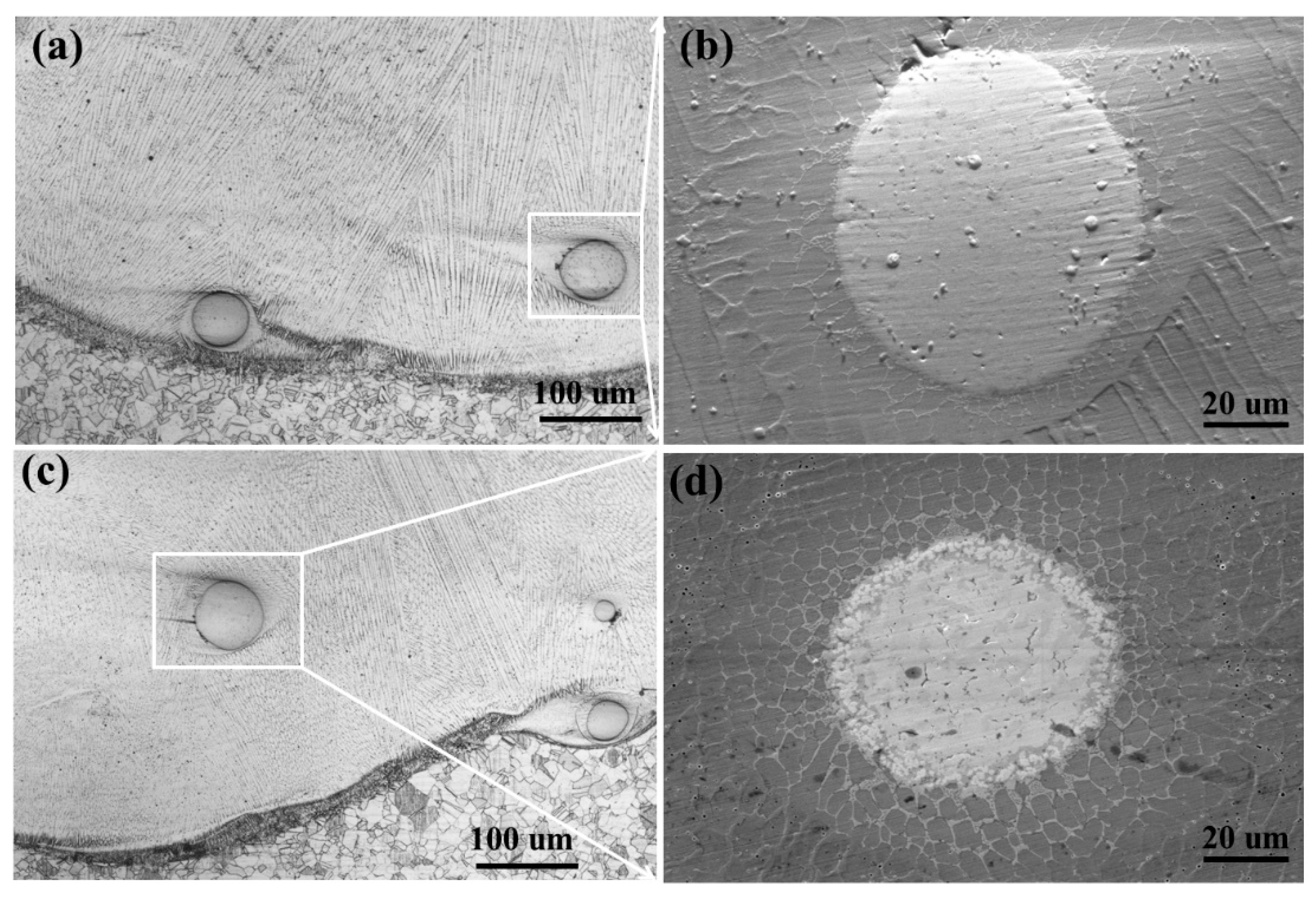 Materials 16 02706 g003