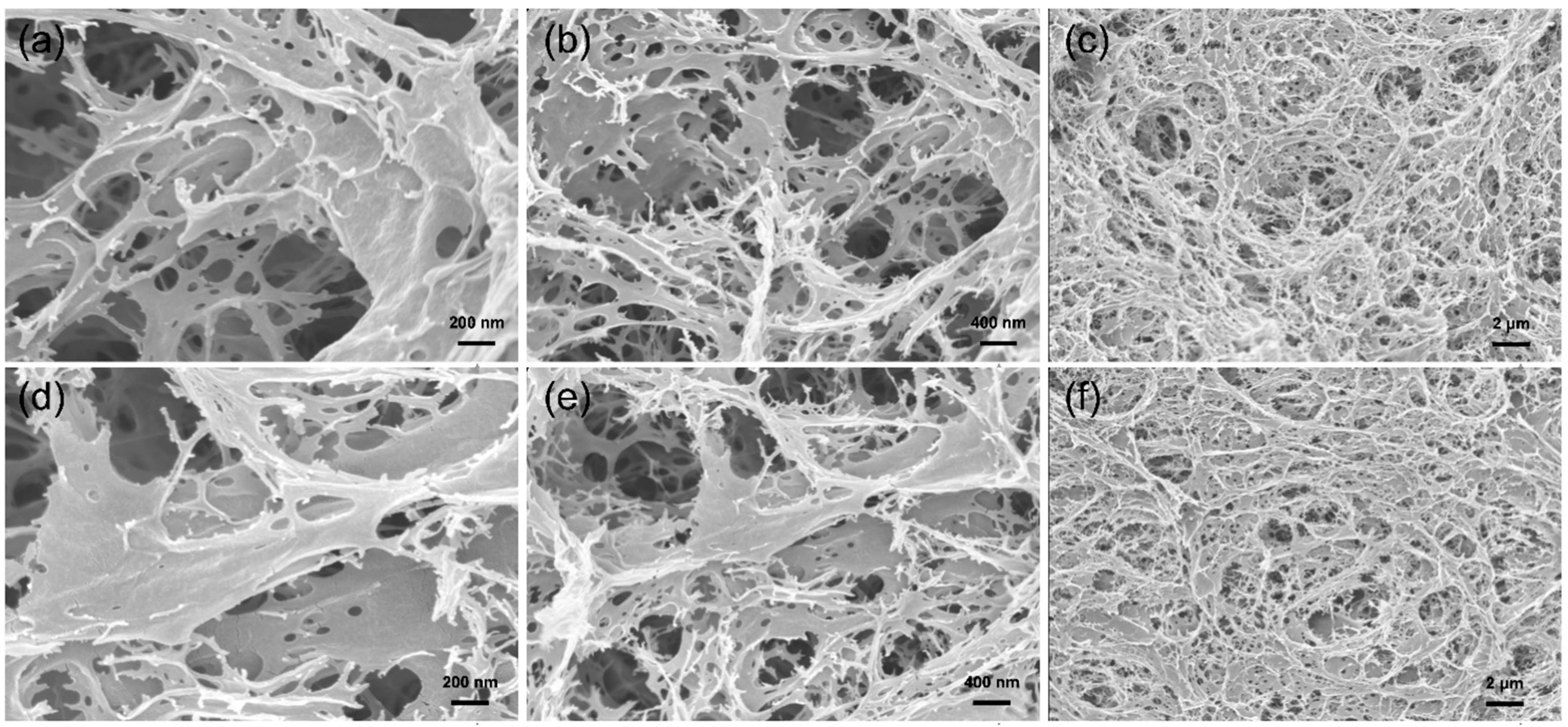 Materials 16 02761 g005 Materials 16 02761 g005