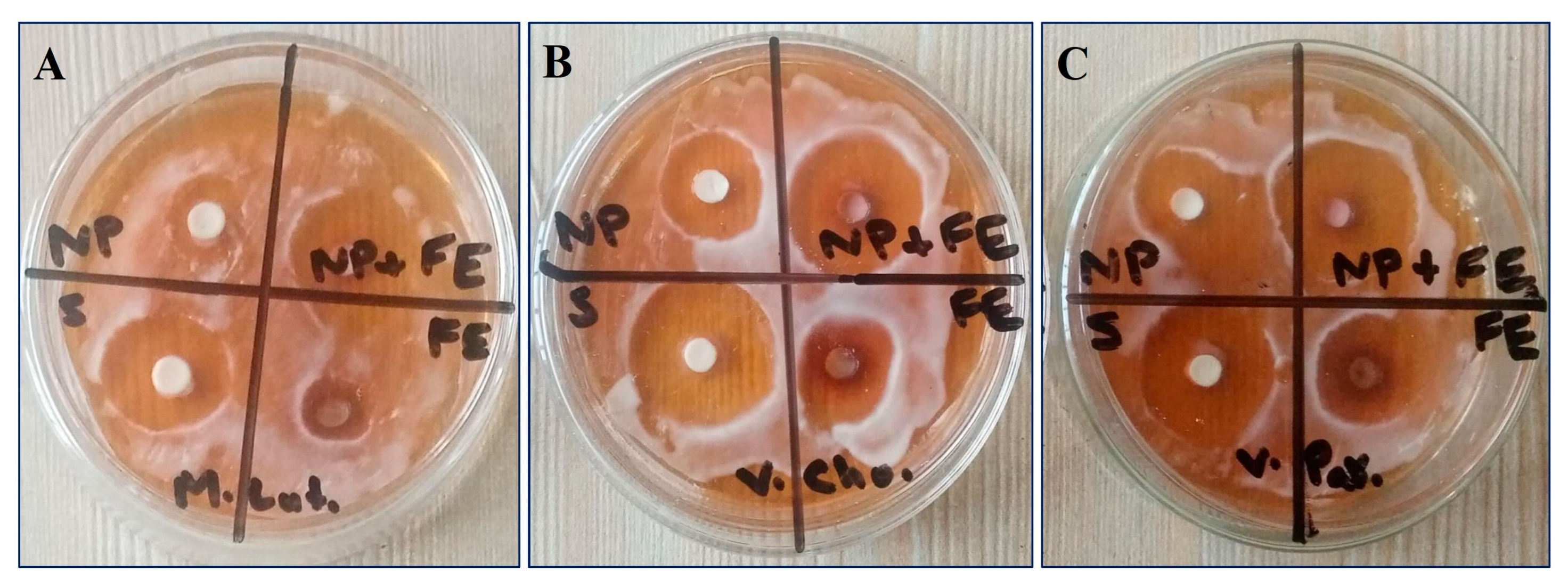 Materials 16 02768 g009