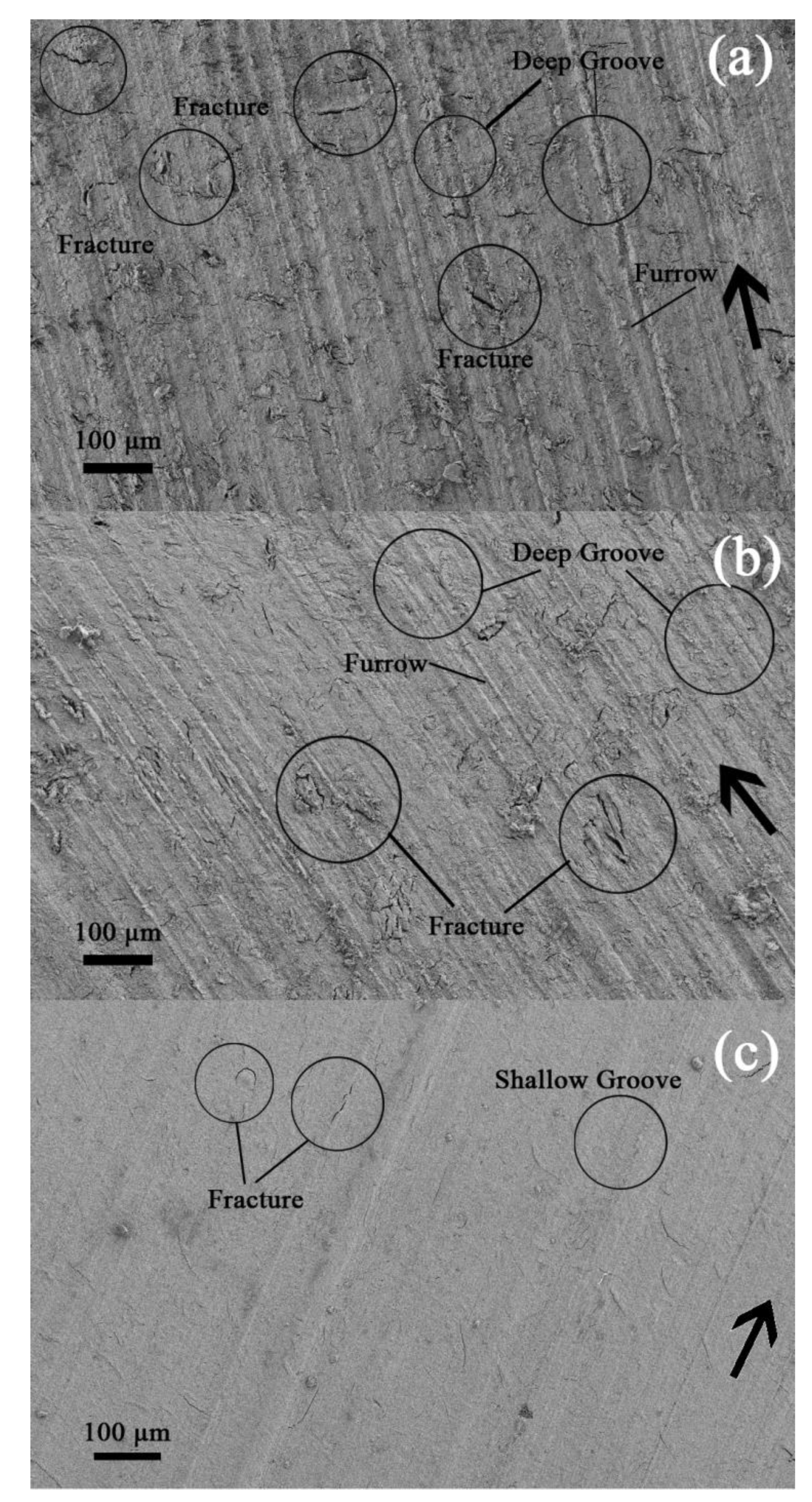 Materials 16 02772 g007