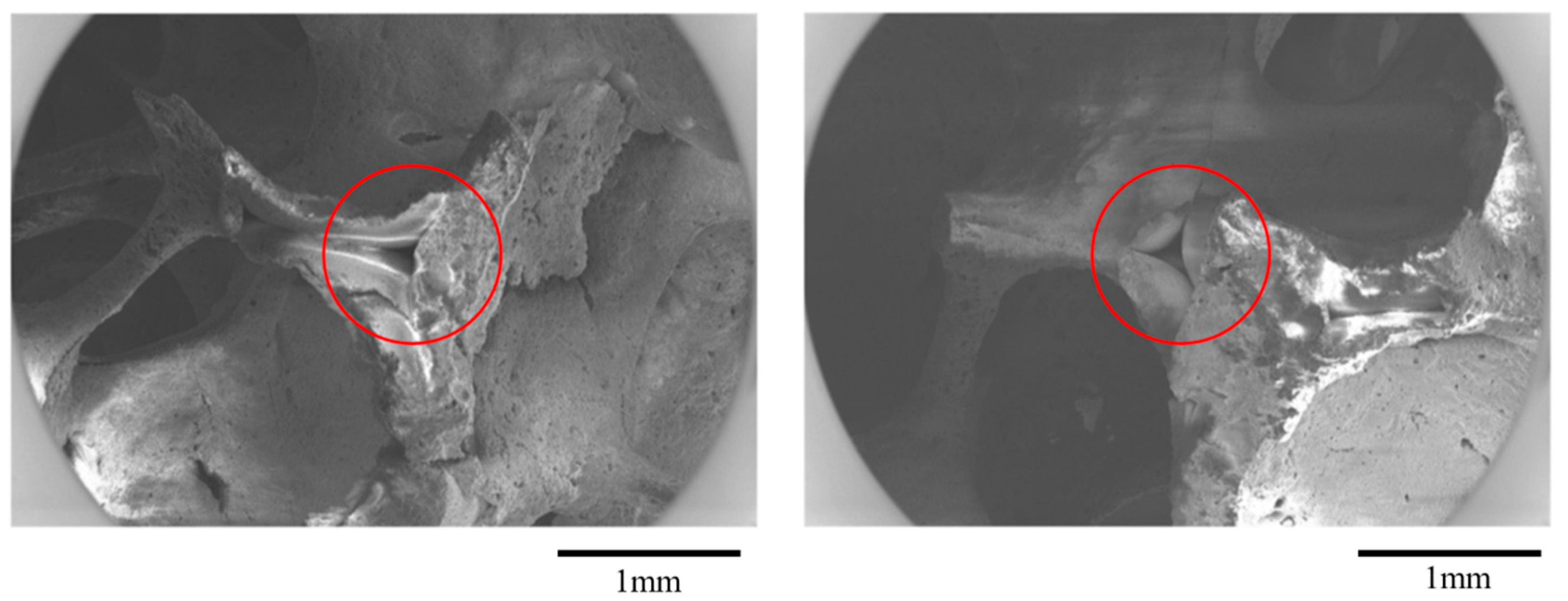 Materials 16 02805 g003