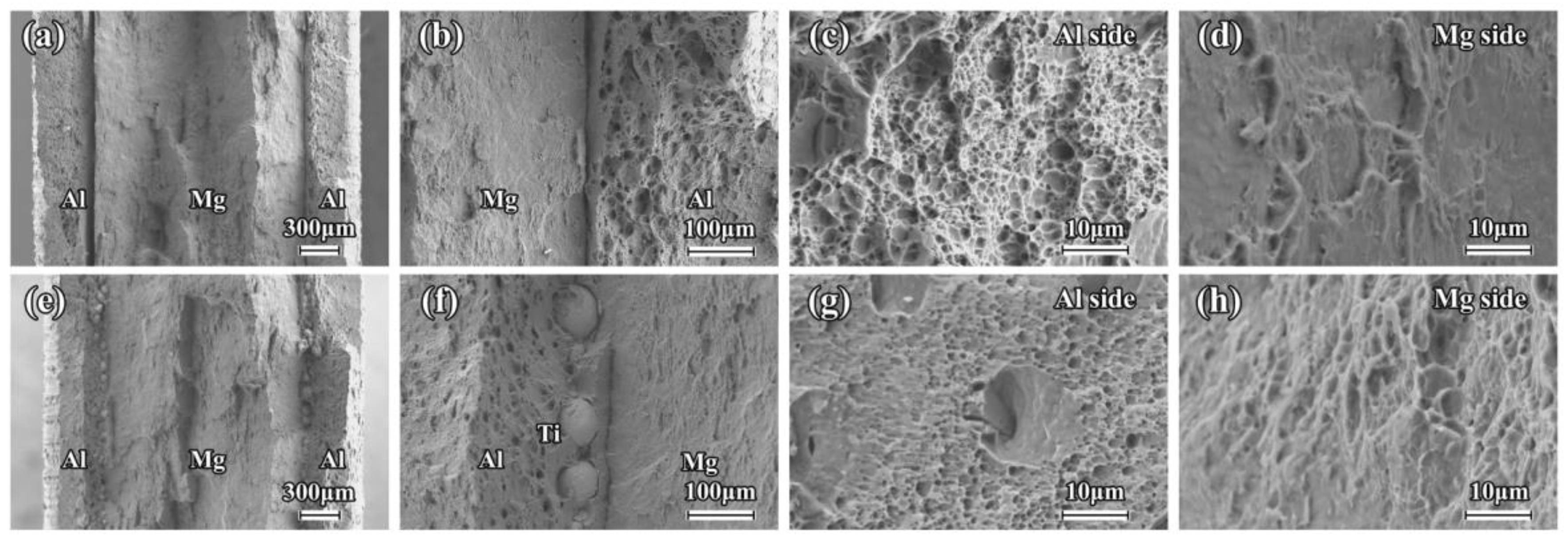 Materials 16 02844 g010