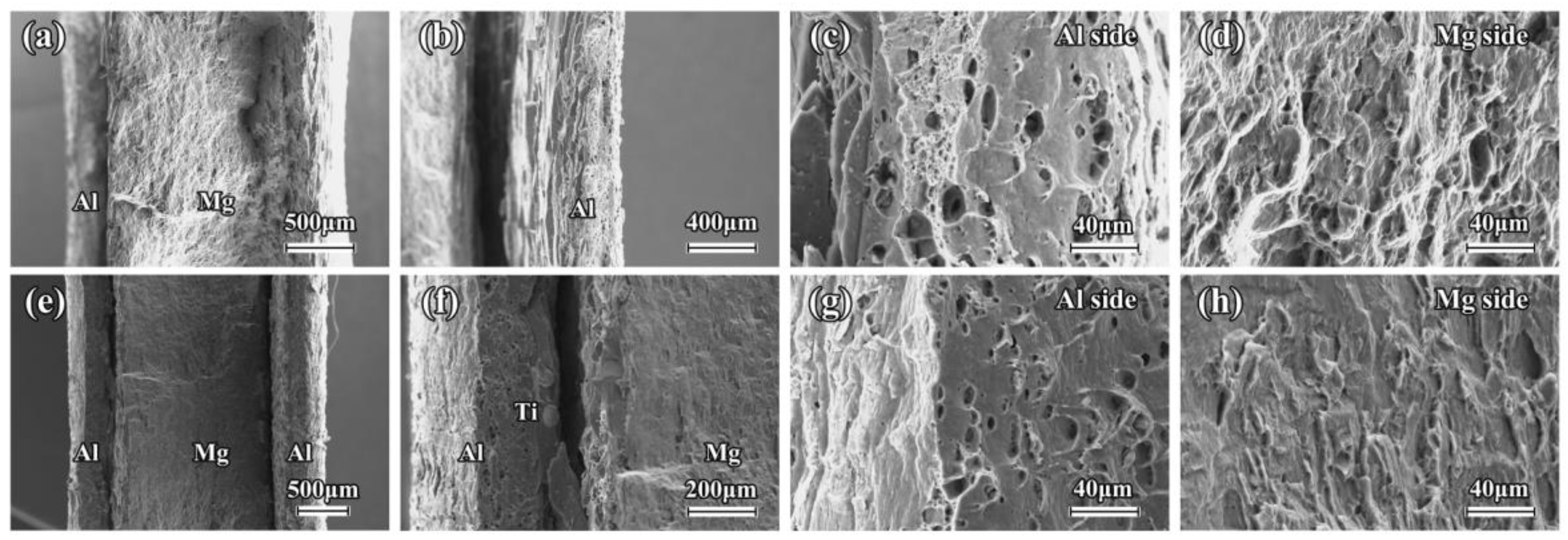 Materials 16 02844 g012