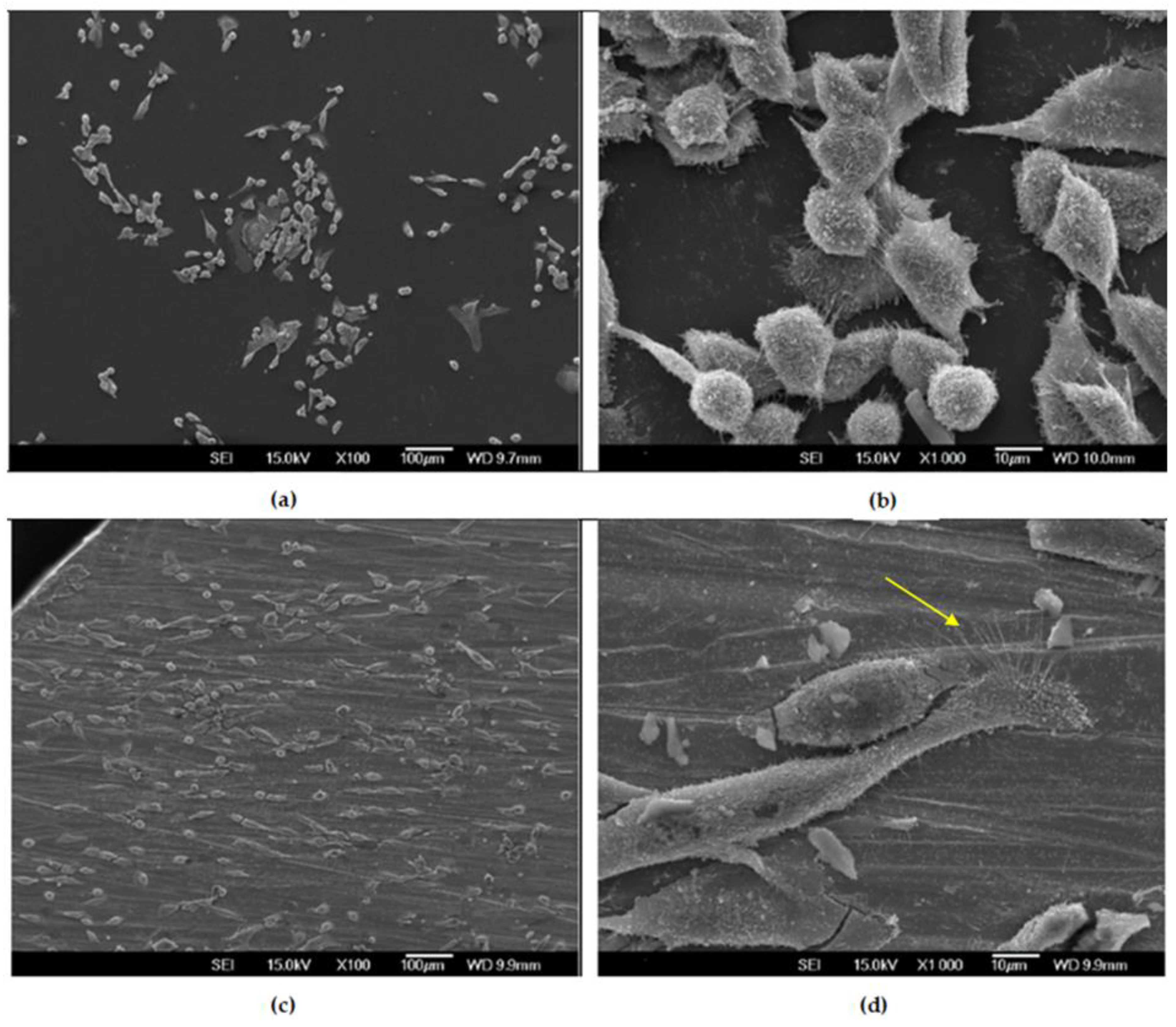 Materials 16 02851 g006 Materials 16 02851 g006