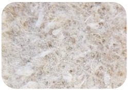 Materials 16 02900 i005 Materials 16 02900 i005