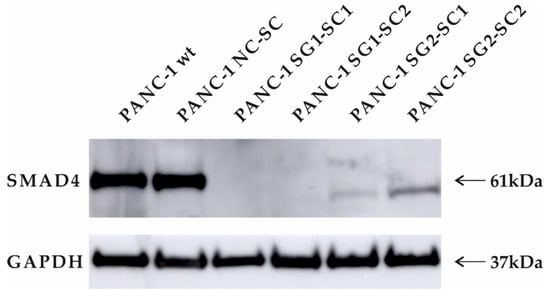 Materials 16 02906 g0a1