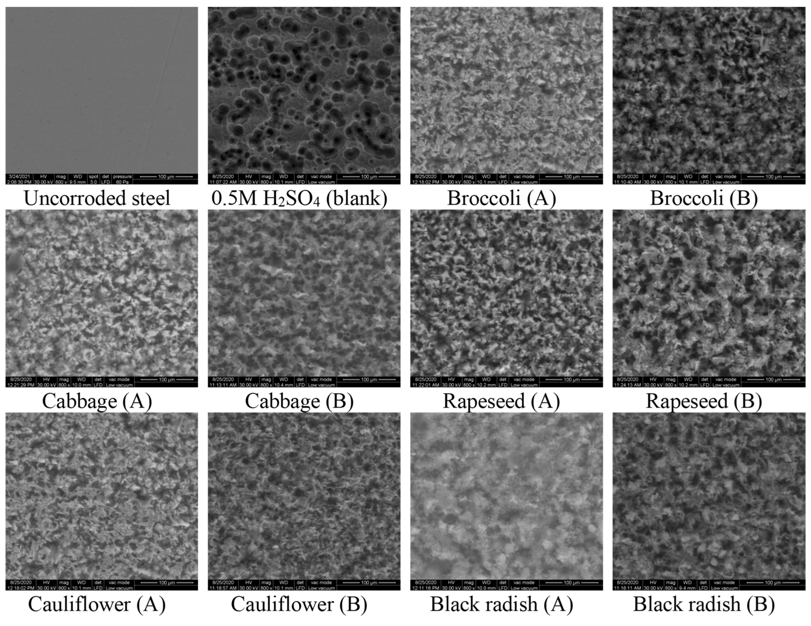 Materials 16 02967 g004 Materials 16 02967 g004