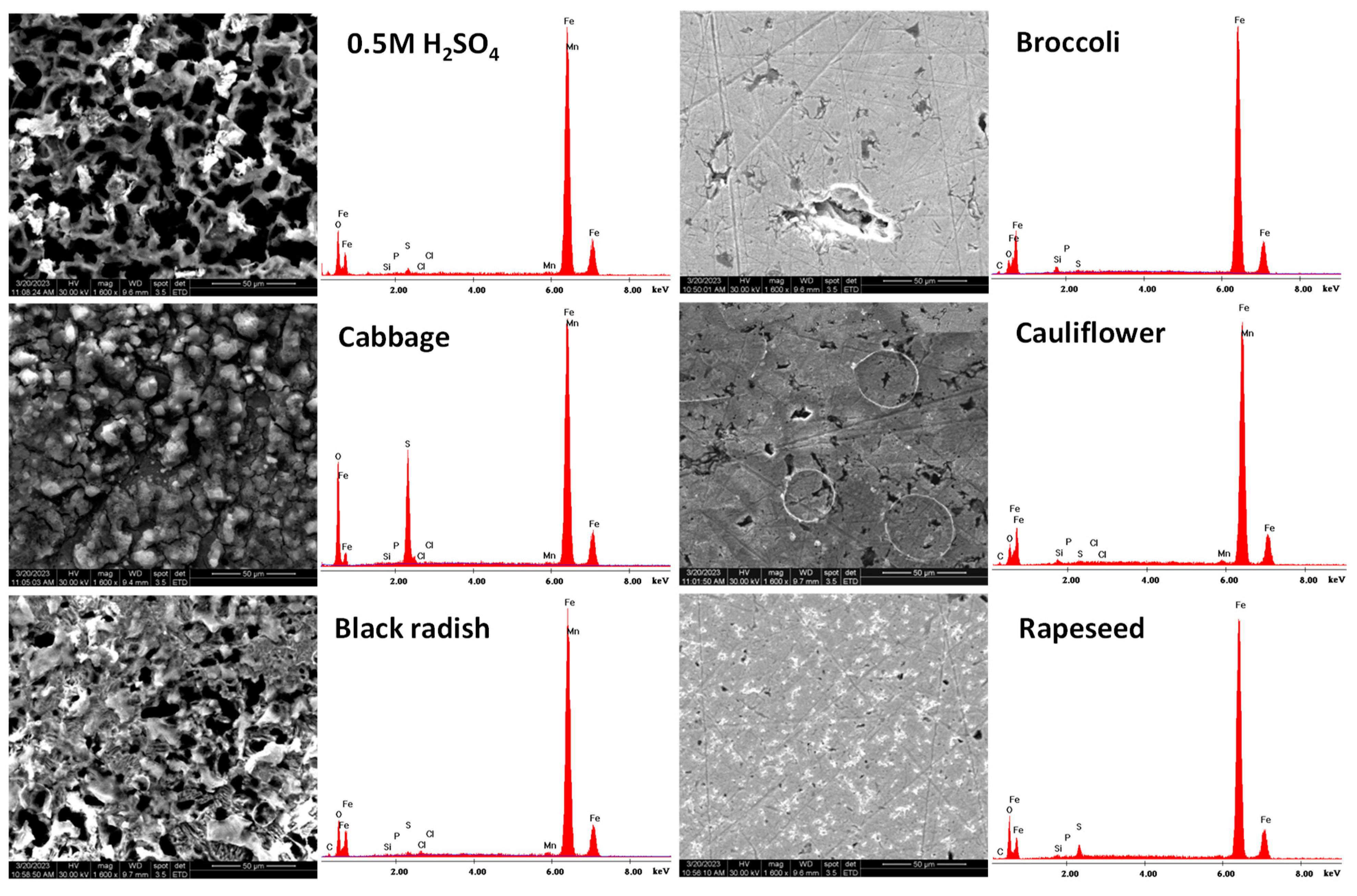 Materials 16 02967 g006 Materials 16 02967 g006