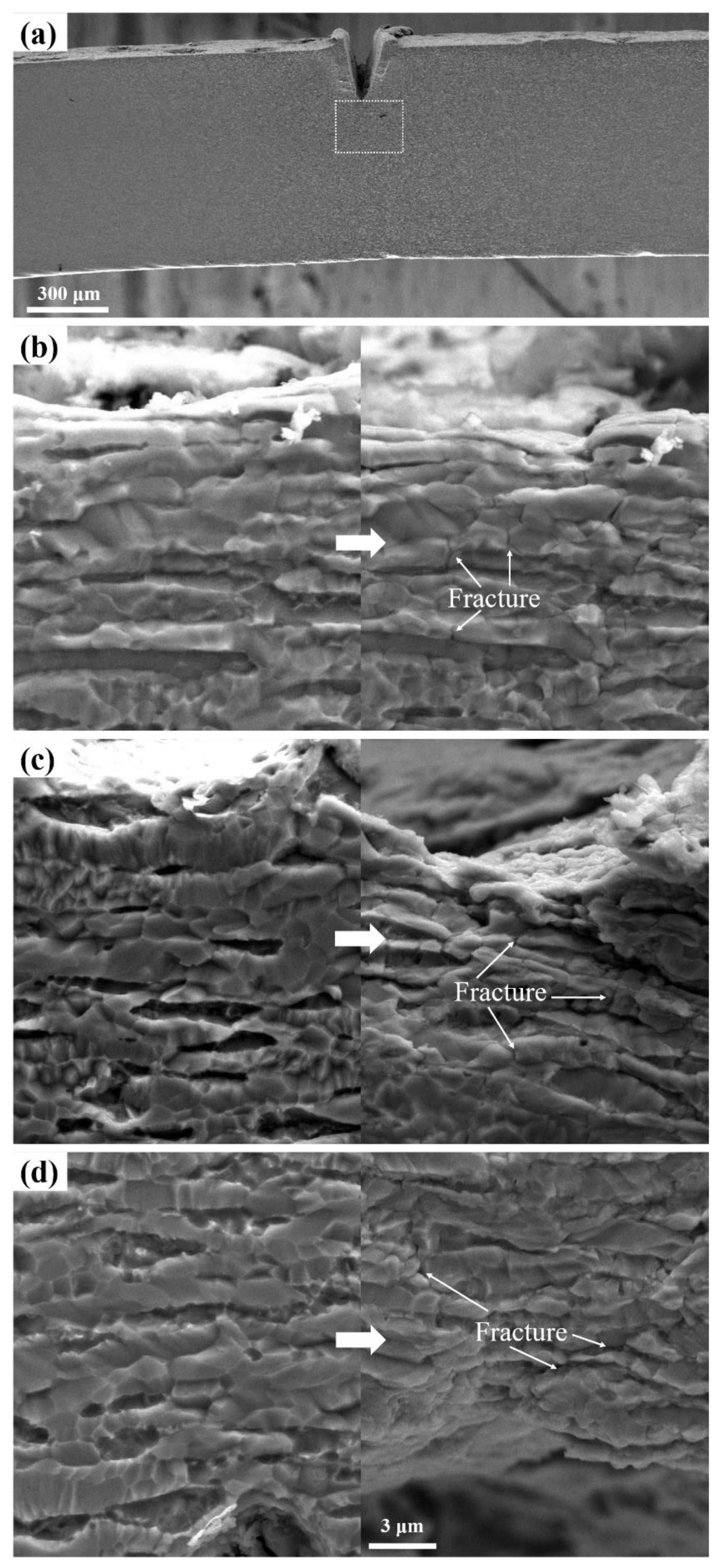 Materials 16 03003 g005 Materials 16 03003 g005