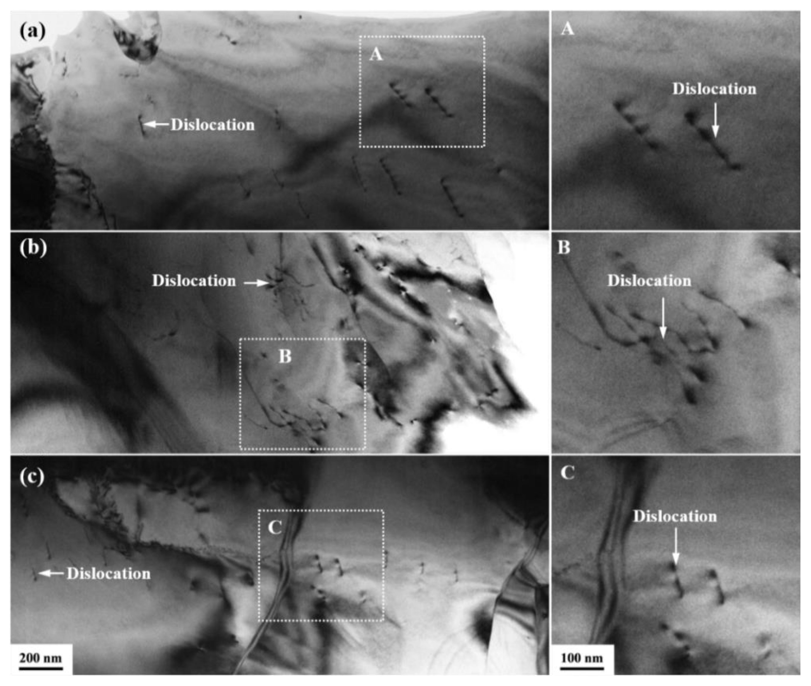 Materials 16 03003 g007 Materials 16 03003 g007
