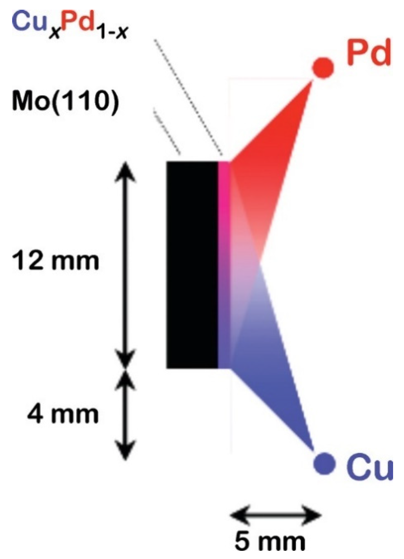 Materials 16 03005 g001 Materials 16 03005 g001