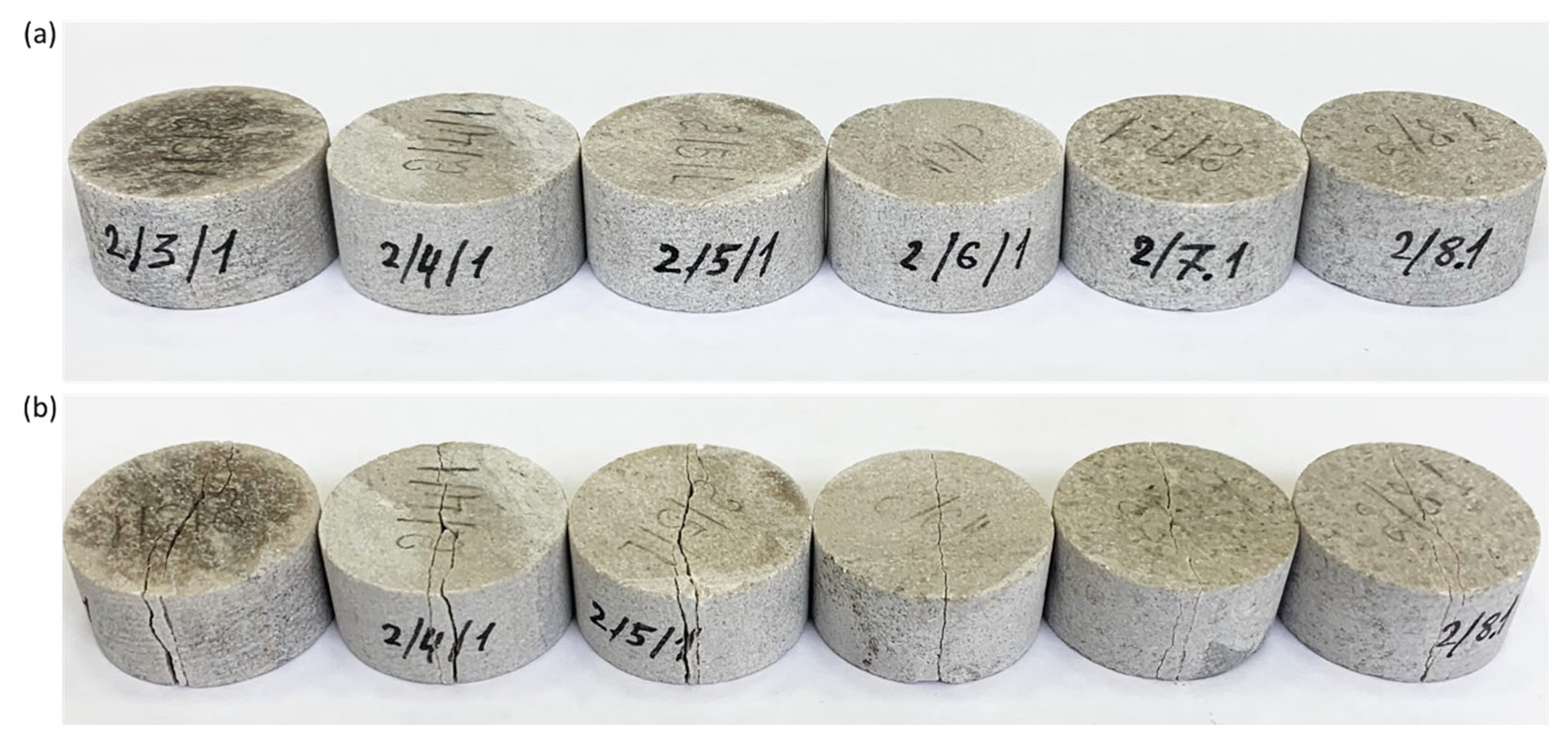 Materials 16 03024 g010