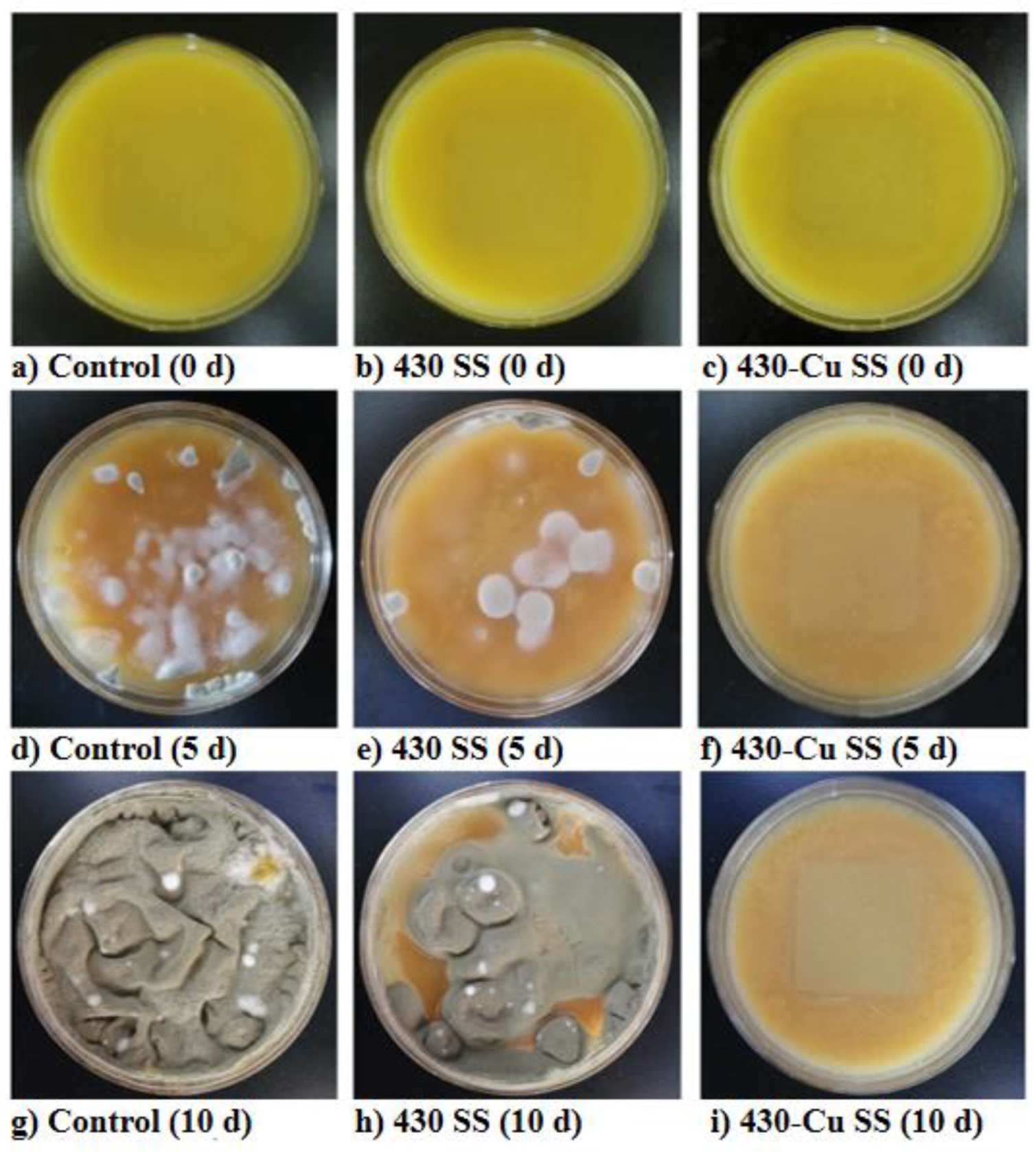 Materials 16 03029 g004 Materials 16 03029 g004