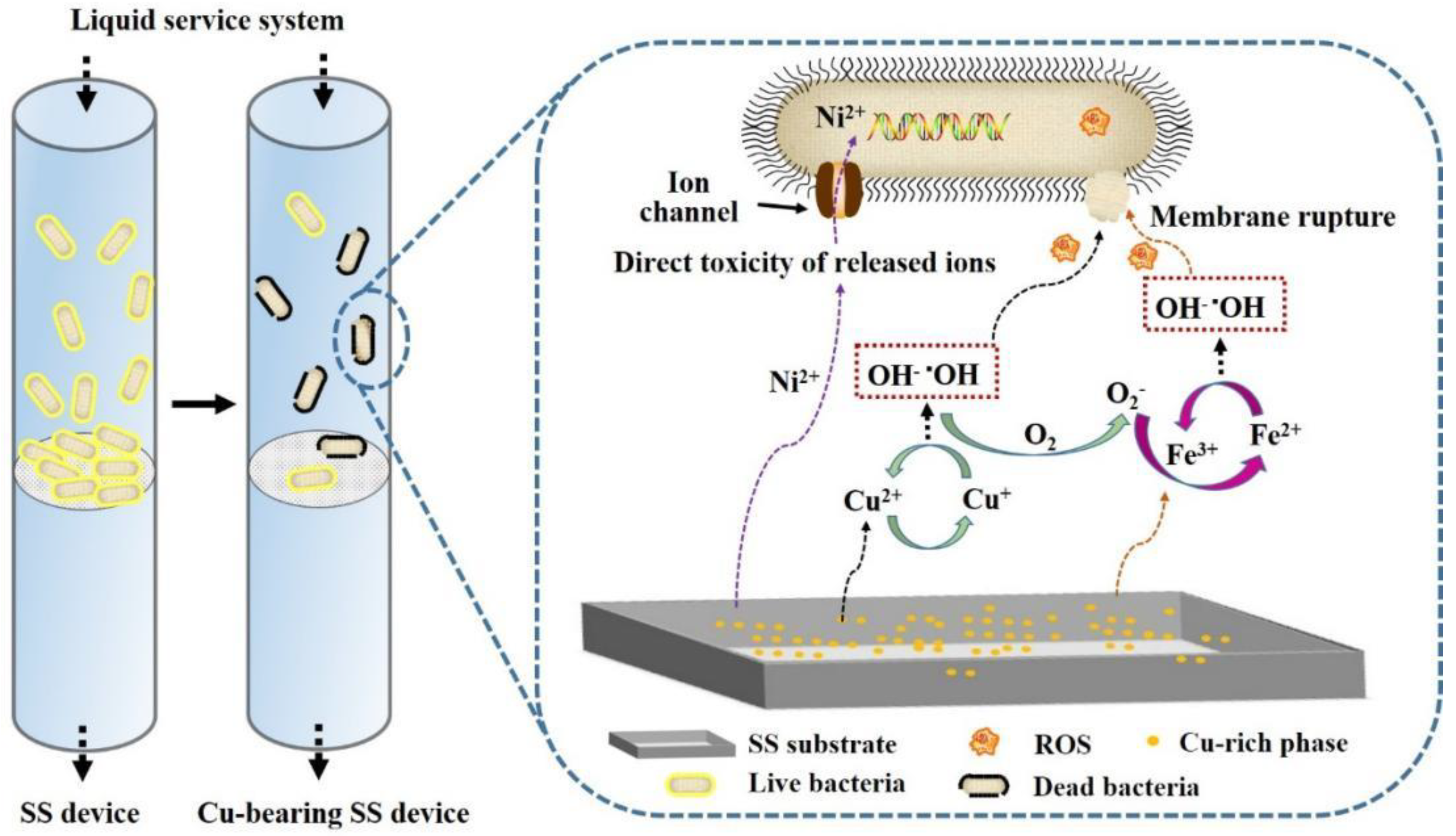 Materials 16 03029 g005 Materials 16 03029 g005