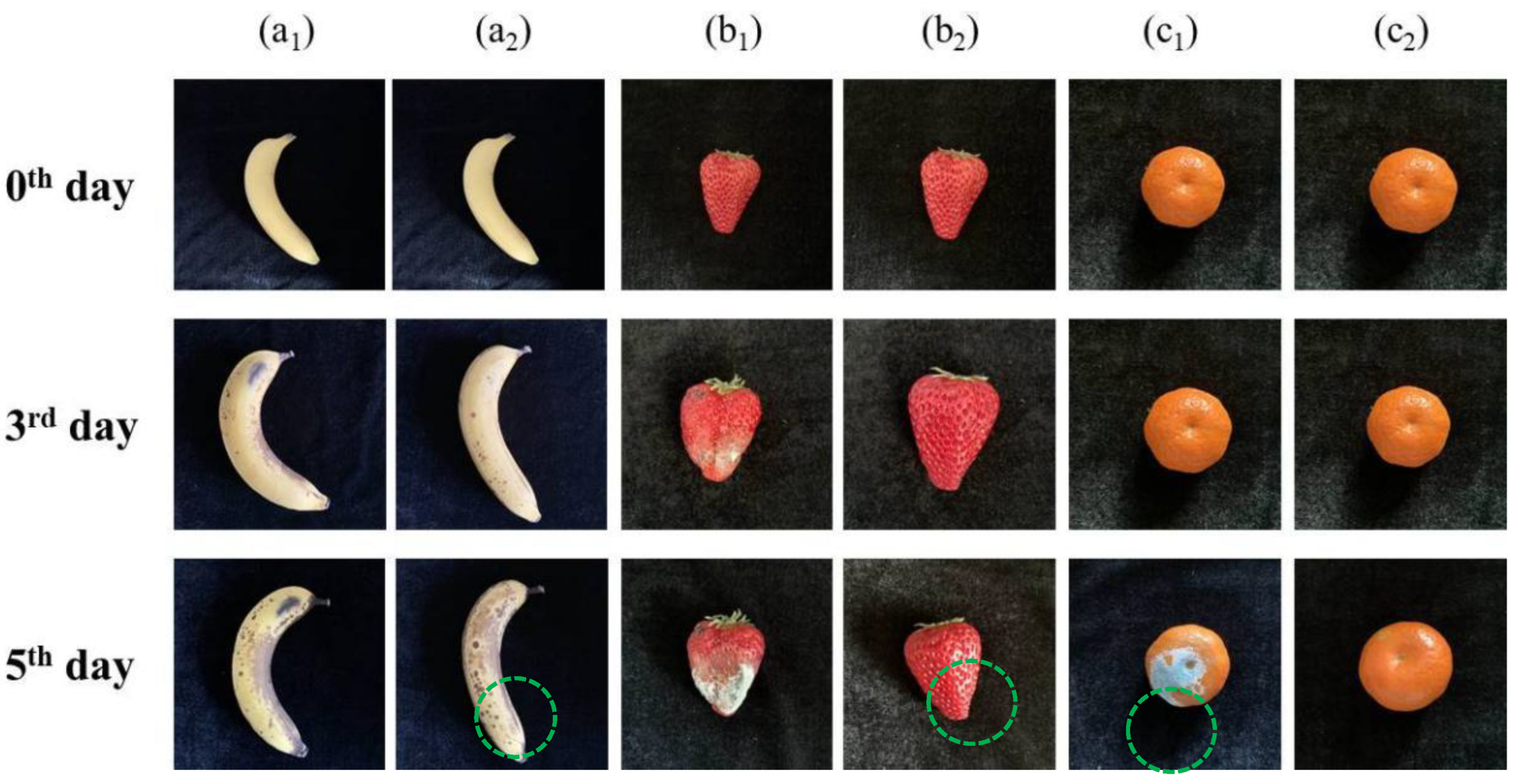 Materials 16 03029 g006 Materials 16 03029 g006