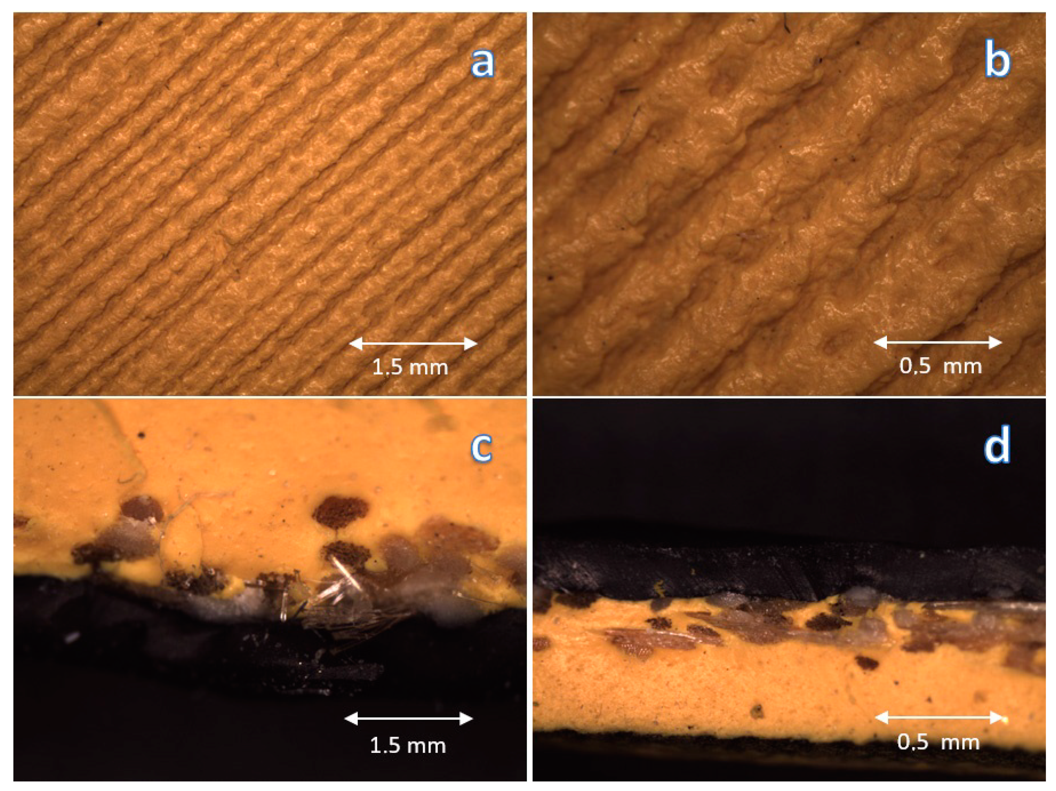 Materials 16 03048 g005