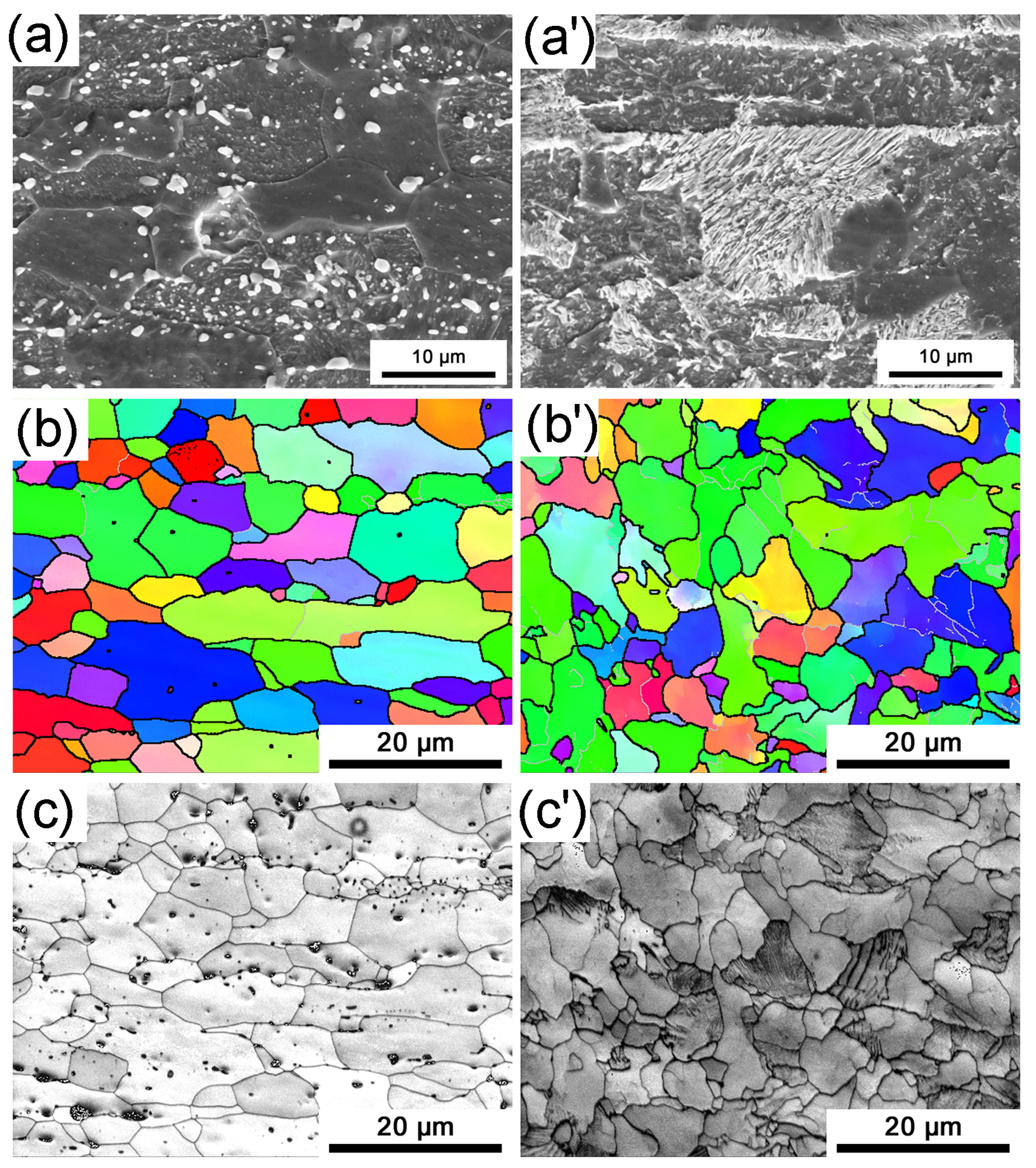 Materials 16 03064 g001 Materials 16 03064 g001
