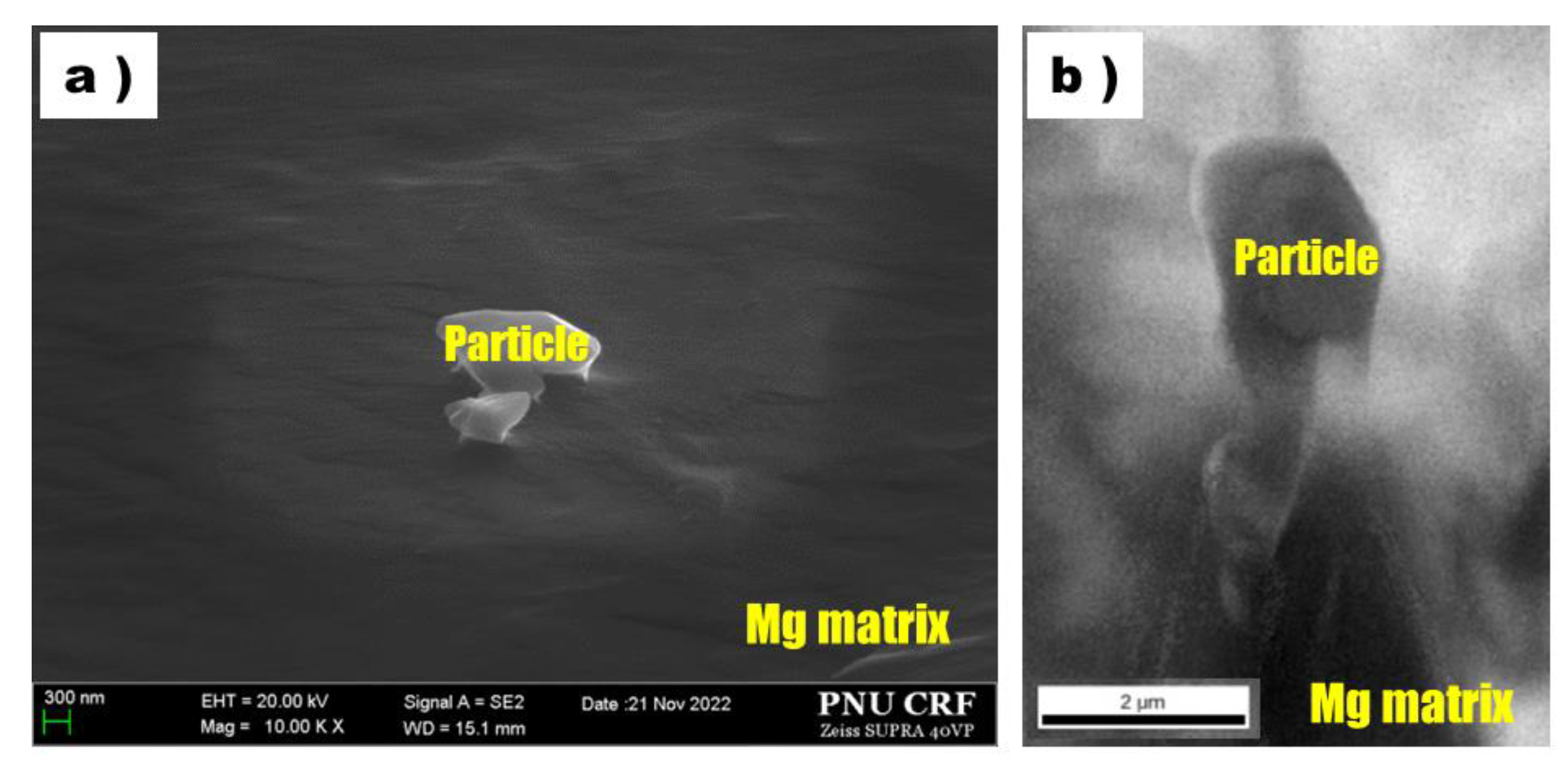 Materials 16 03069 g006