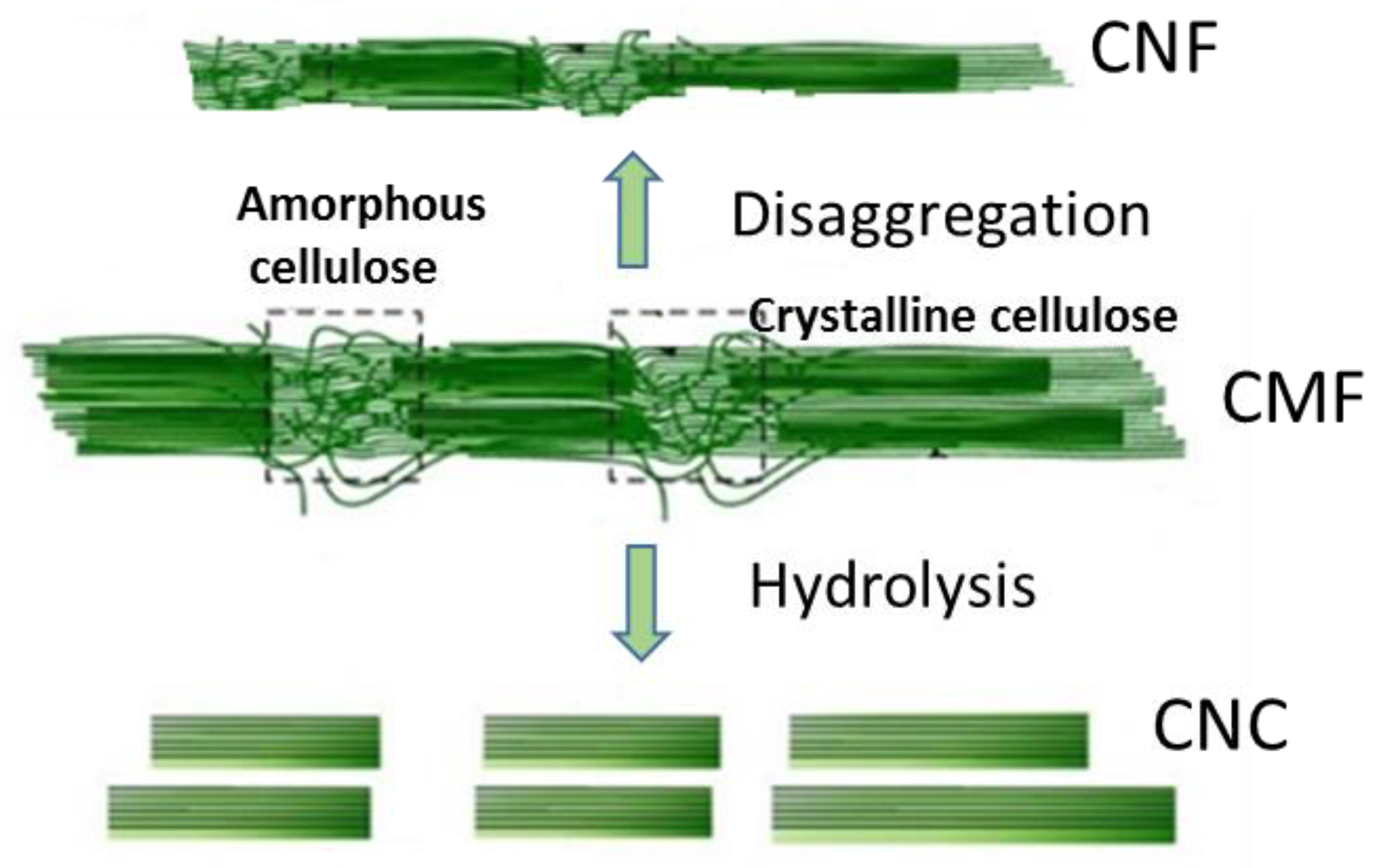 Materials 16 03104 g002