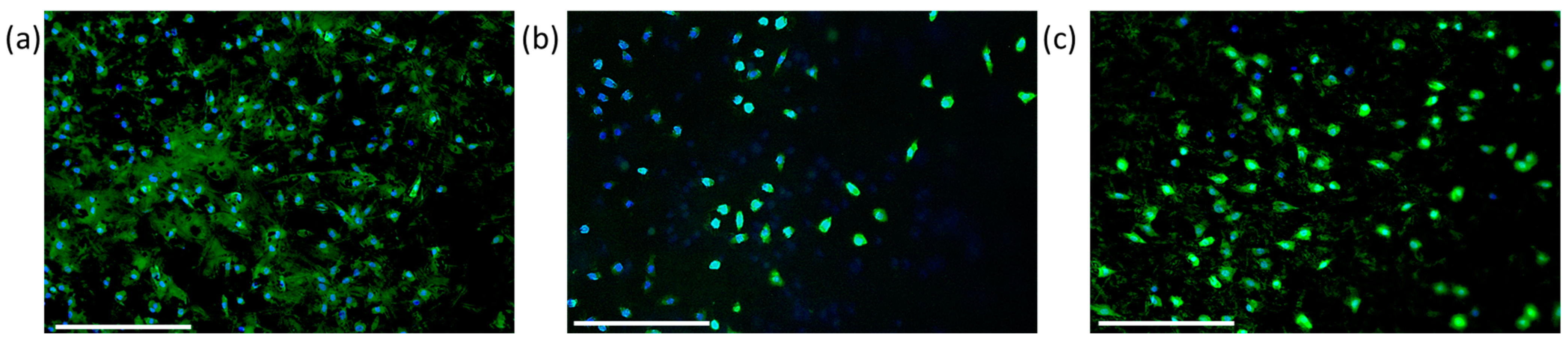 Materials 16 03106 g006 Materials 16 03106 g006