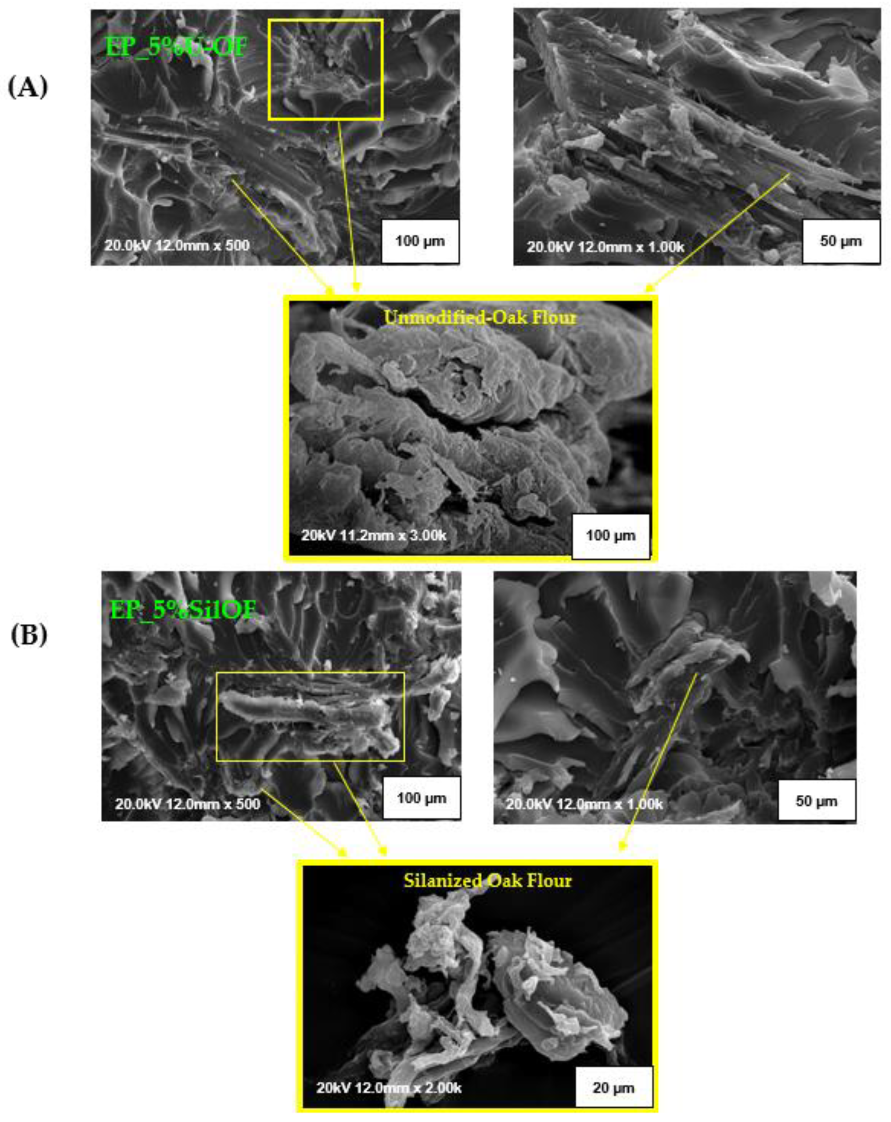 Materials 16 03149 g006
