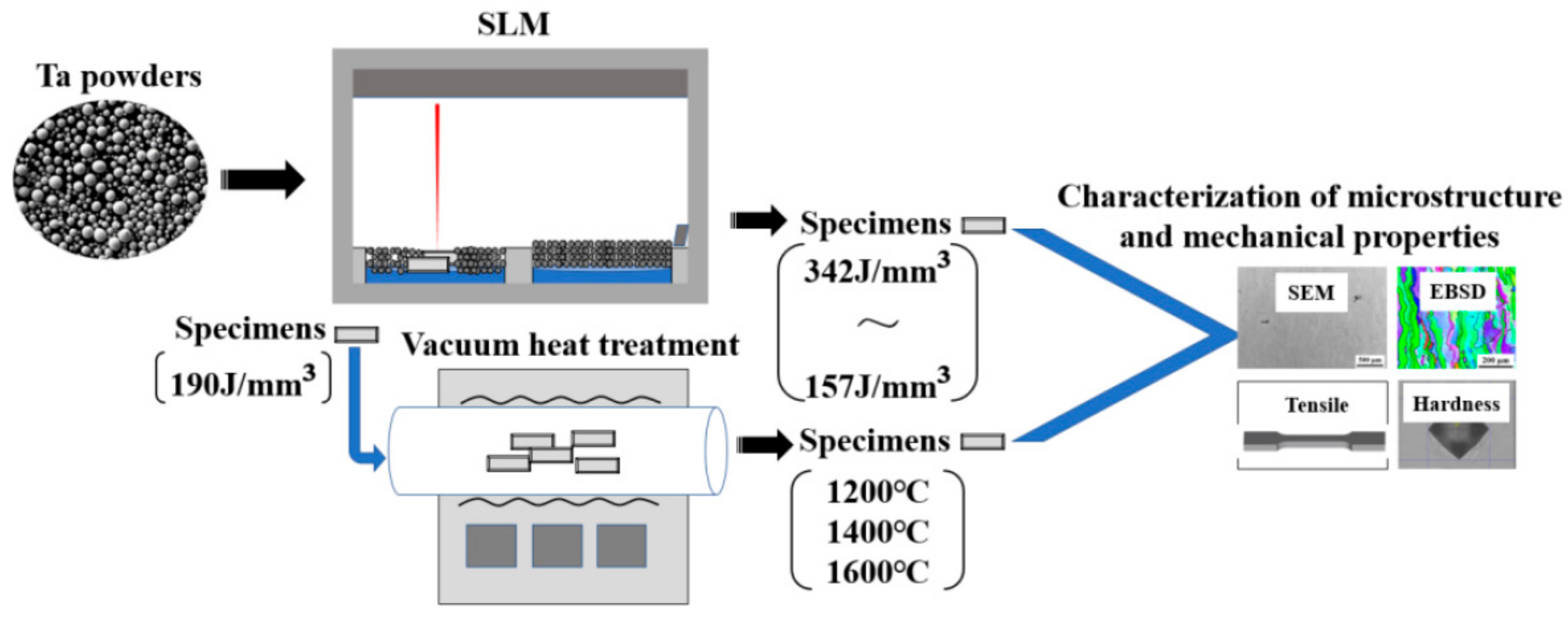 Materials 16 03161 g003 Materials 16 03161 g003