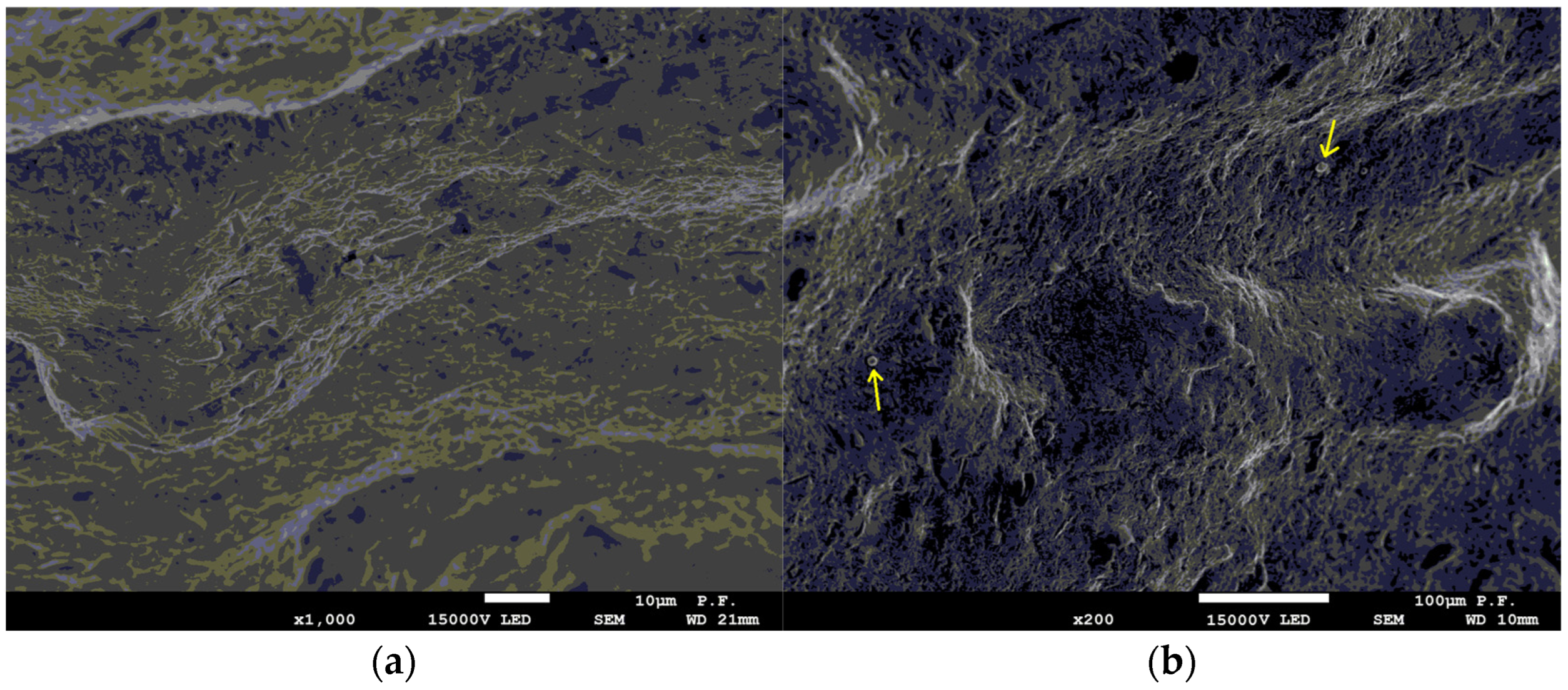 Materials 16 03167 g005a