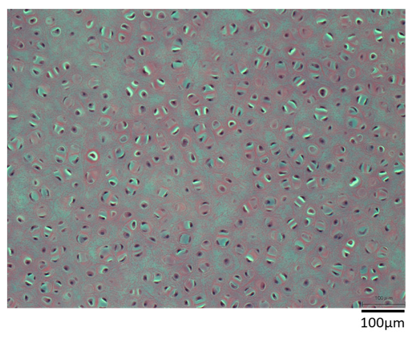 Materials 16 03172 g005