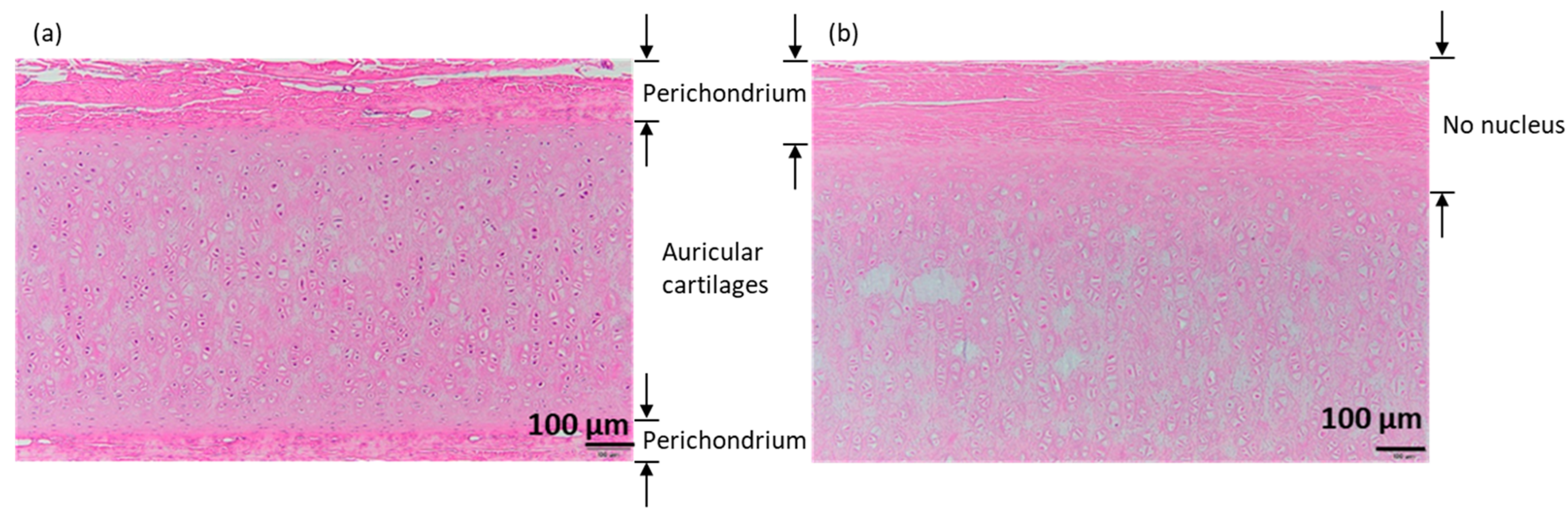 Materials 16 03172 g006