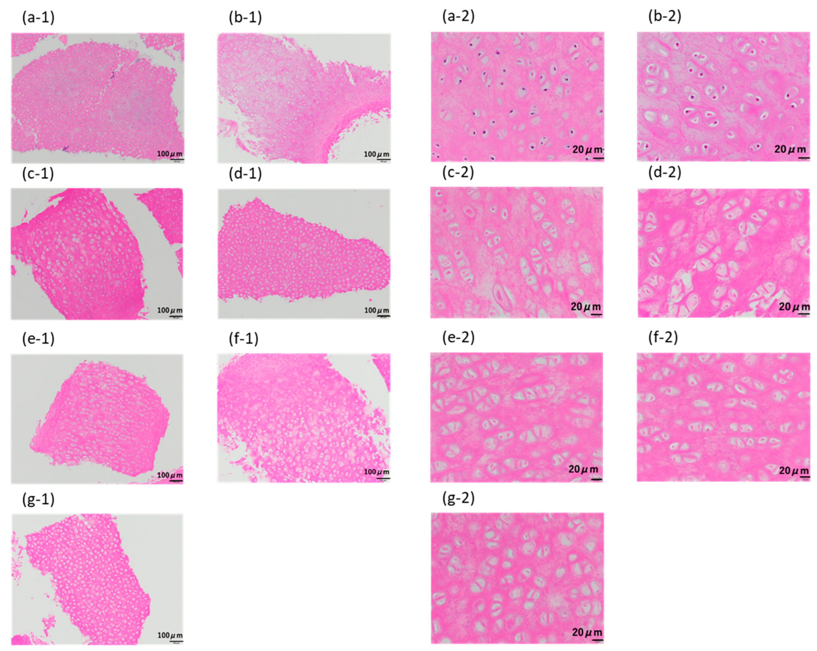 Materials 16 03172 g007