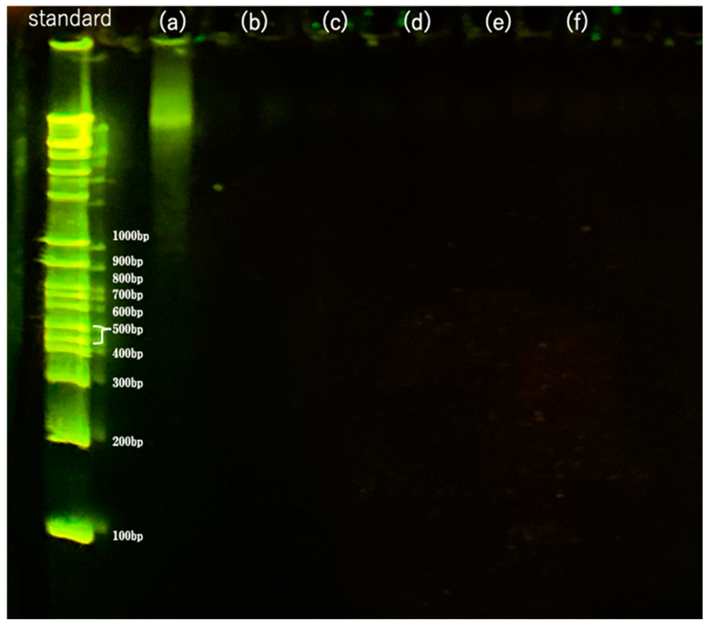 Materials 16 03172 g009