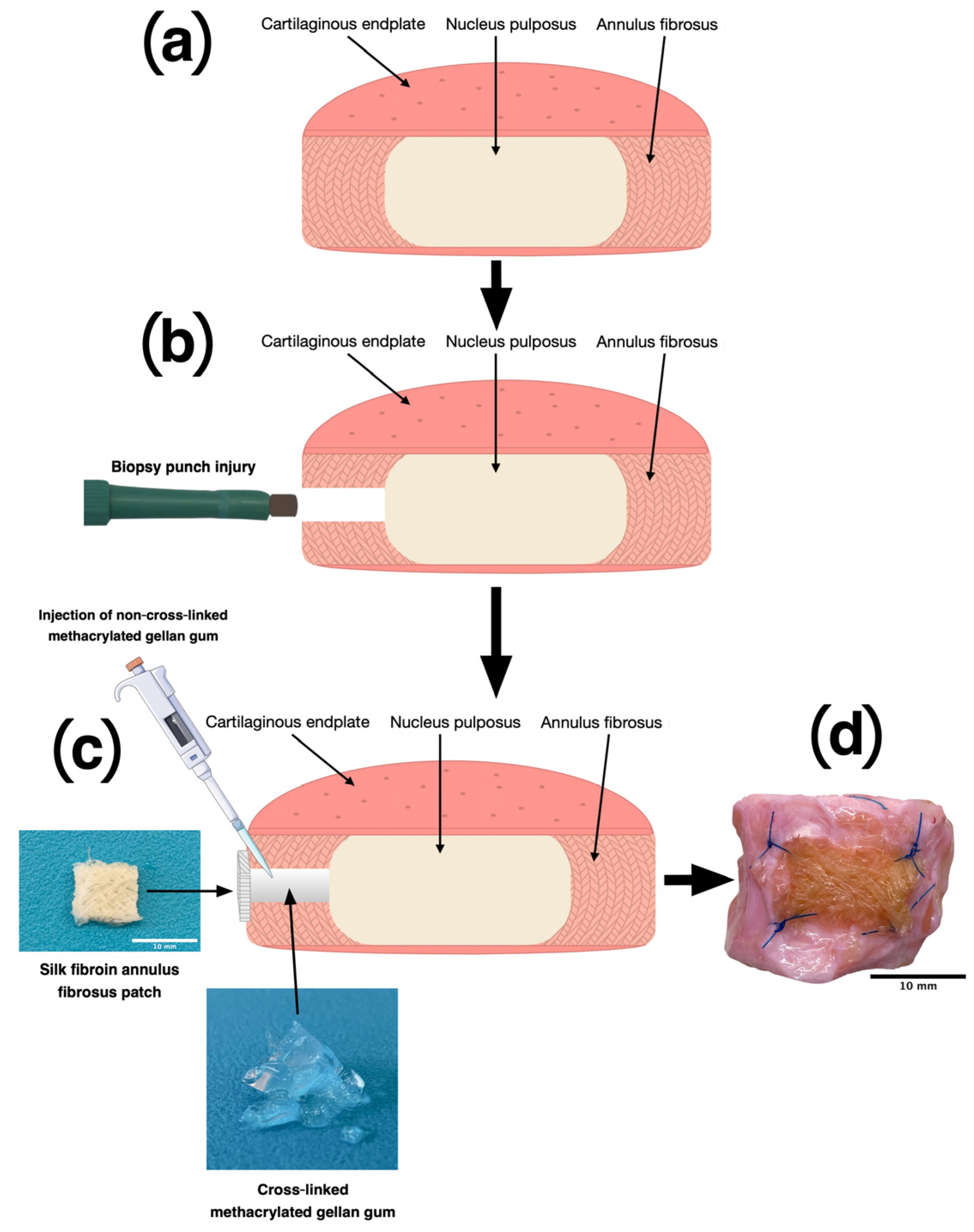 Materials 16 03173 g001