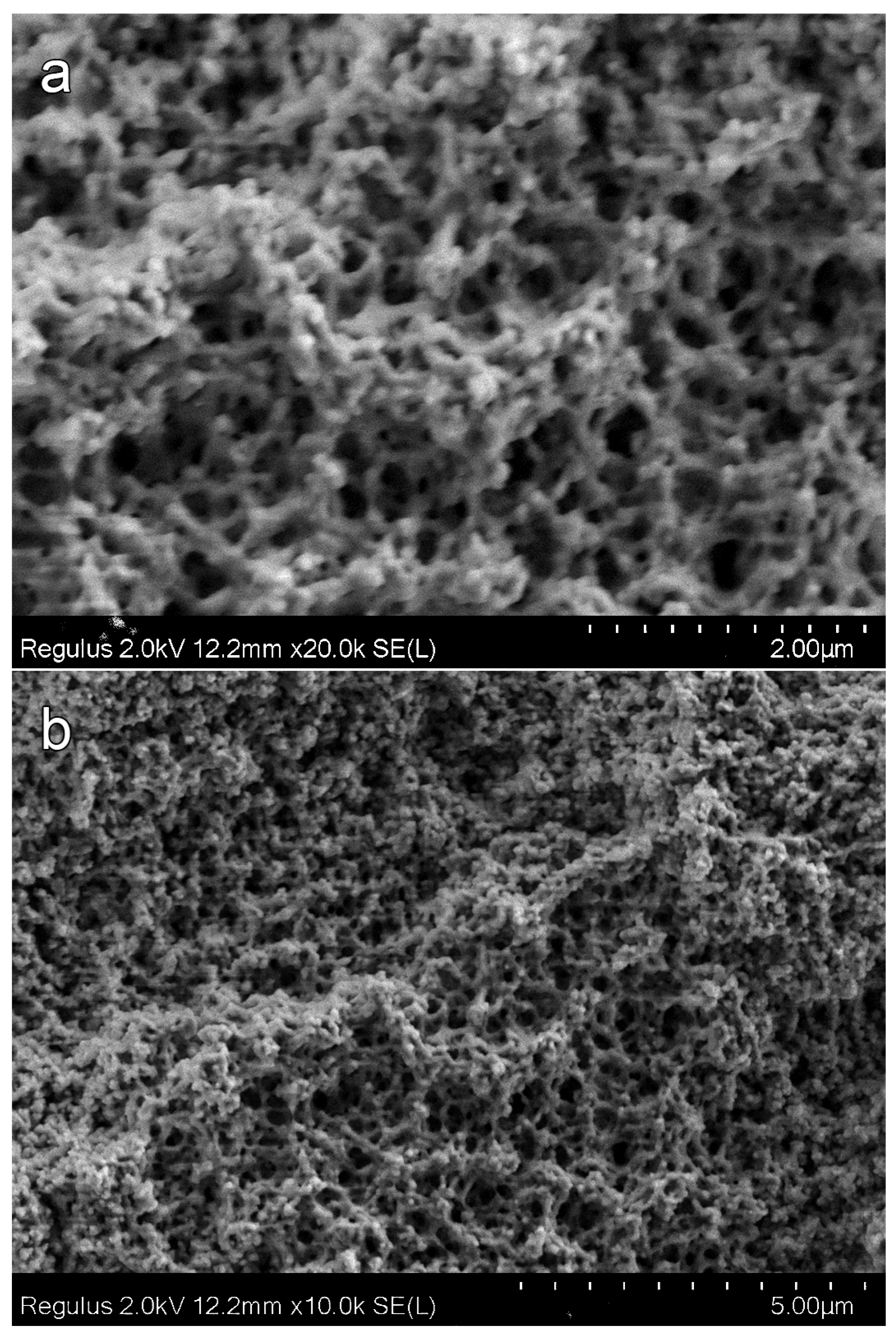 Materials 16 03177 g006a