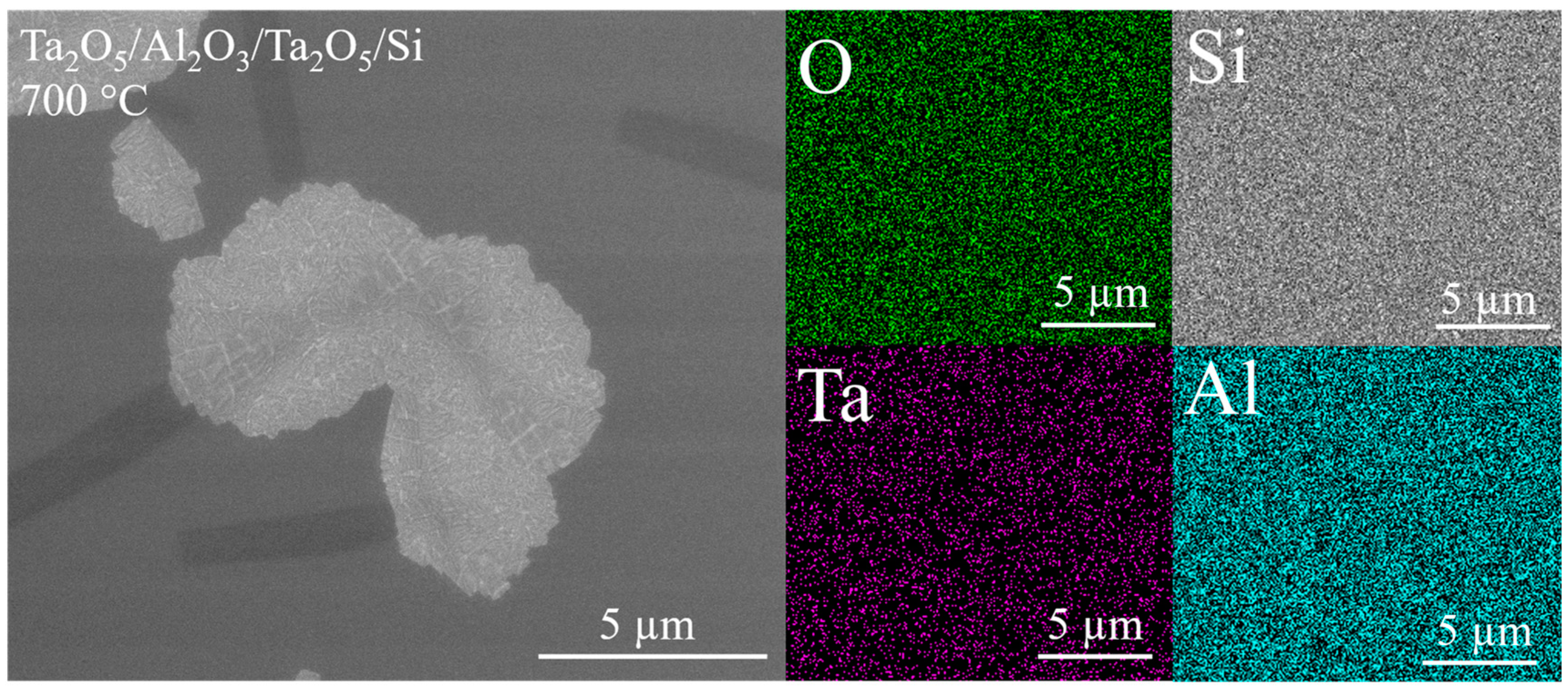 Materials 16 03207 g005