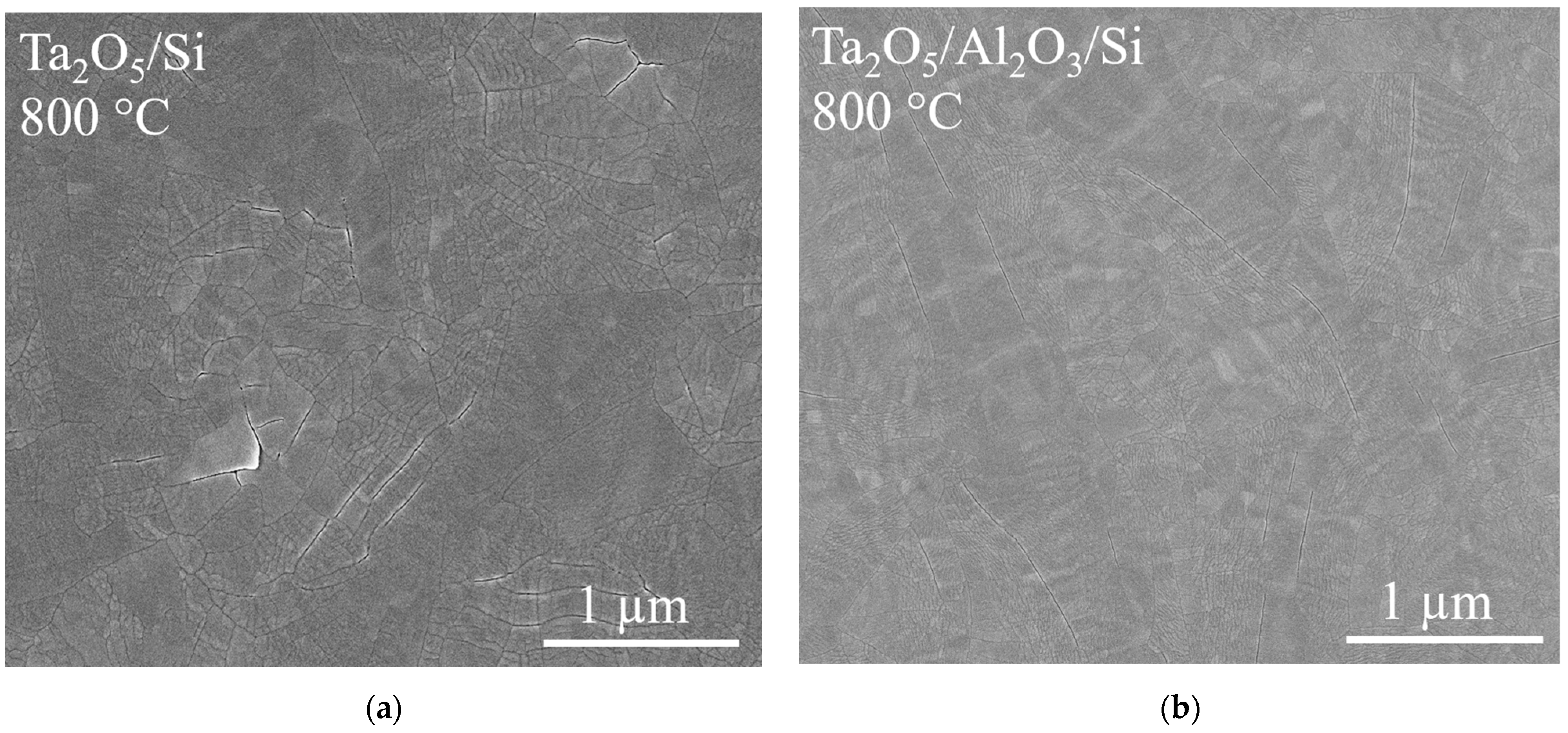 Materials 16 03207 g006