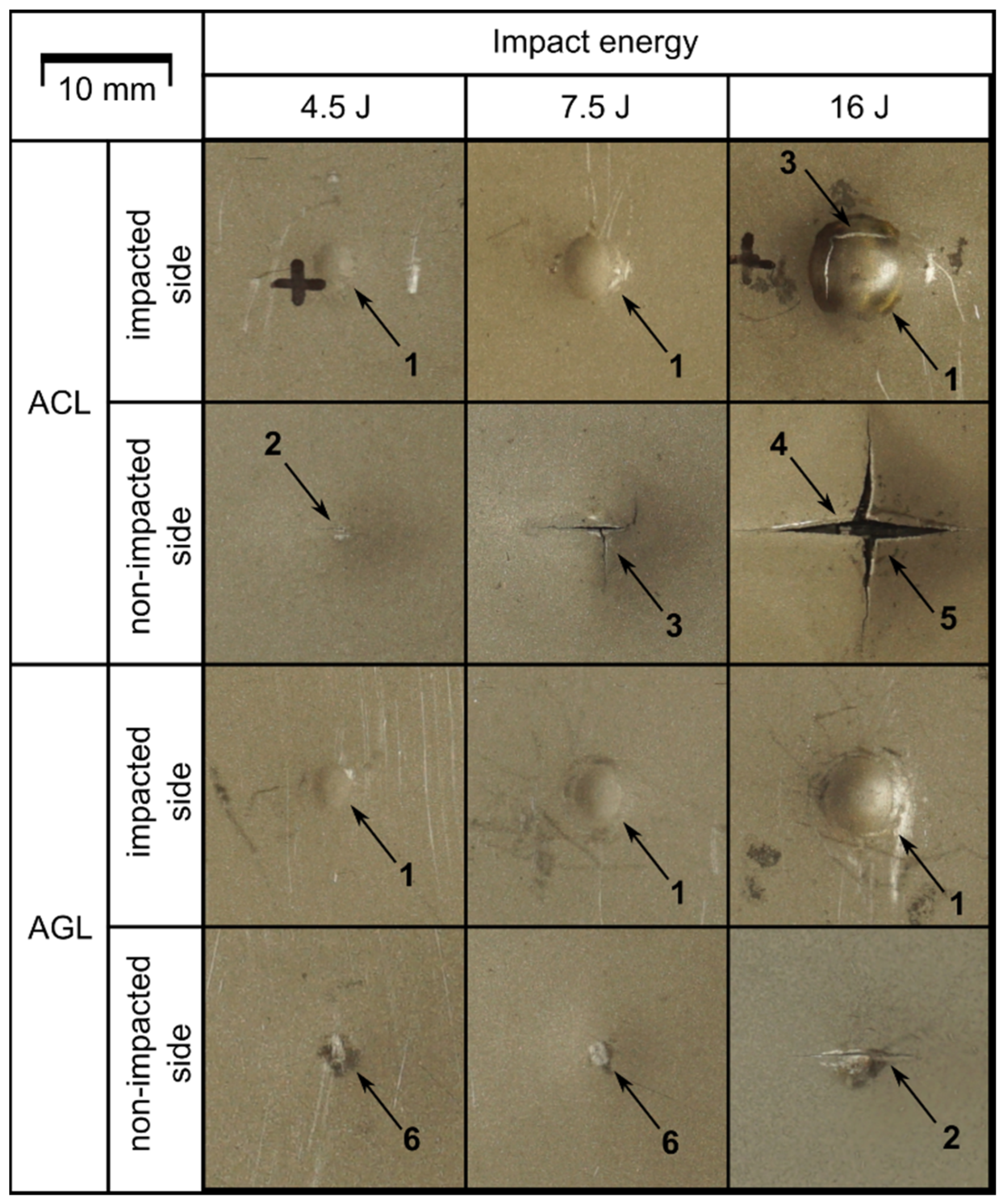 Materials 16 03224 g004