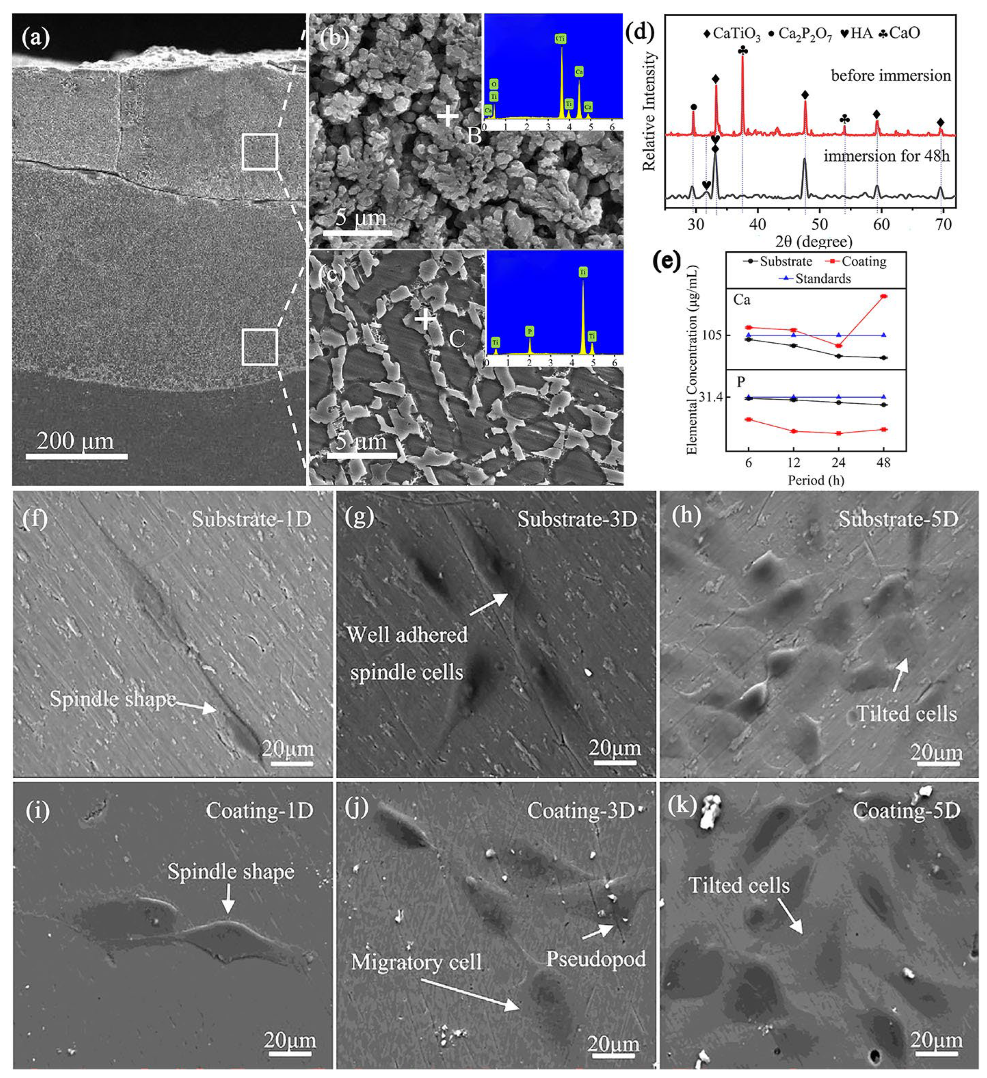 Materials 16 03250 g009