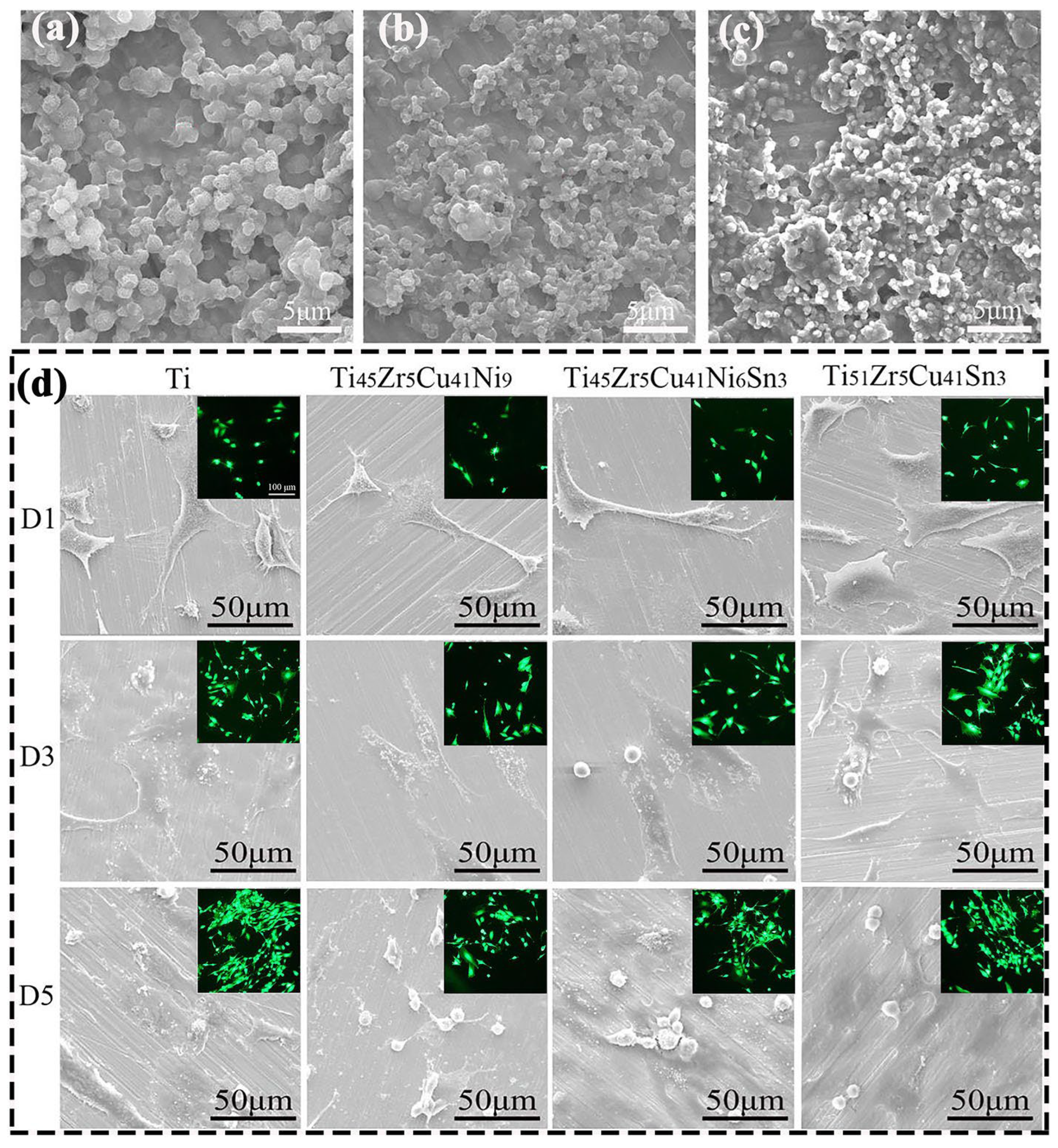 Materials 16 03250 g013
