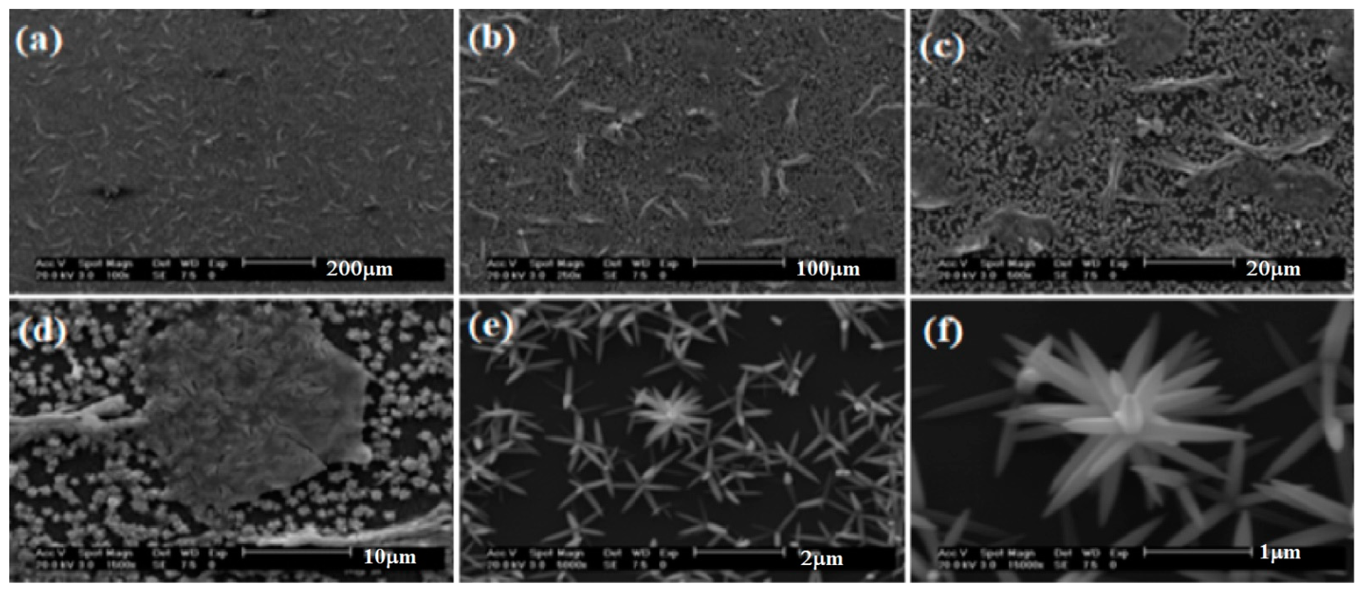 Materials 16 03275 g005