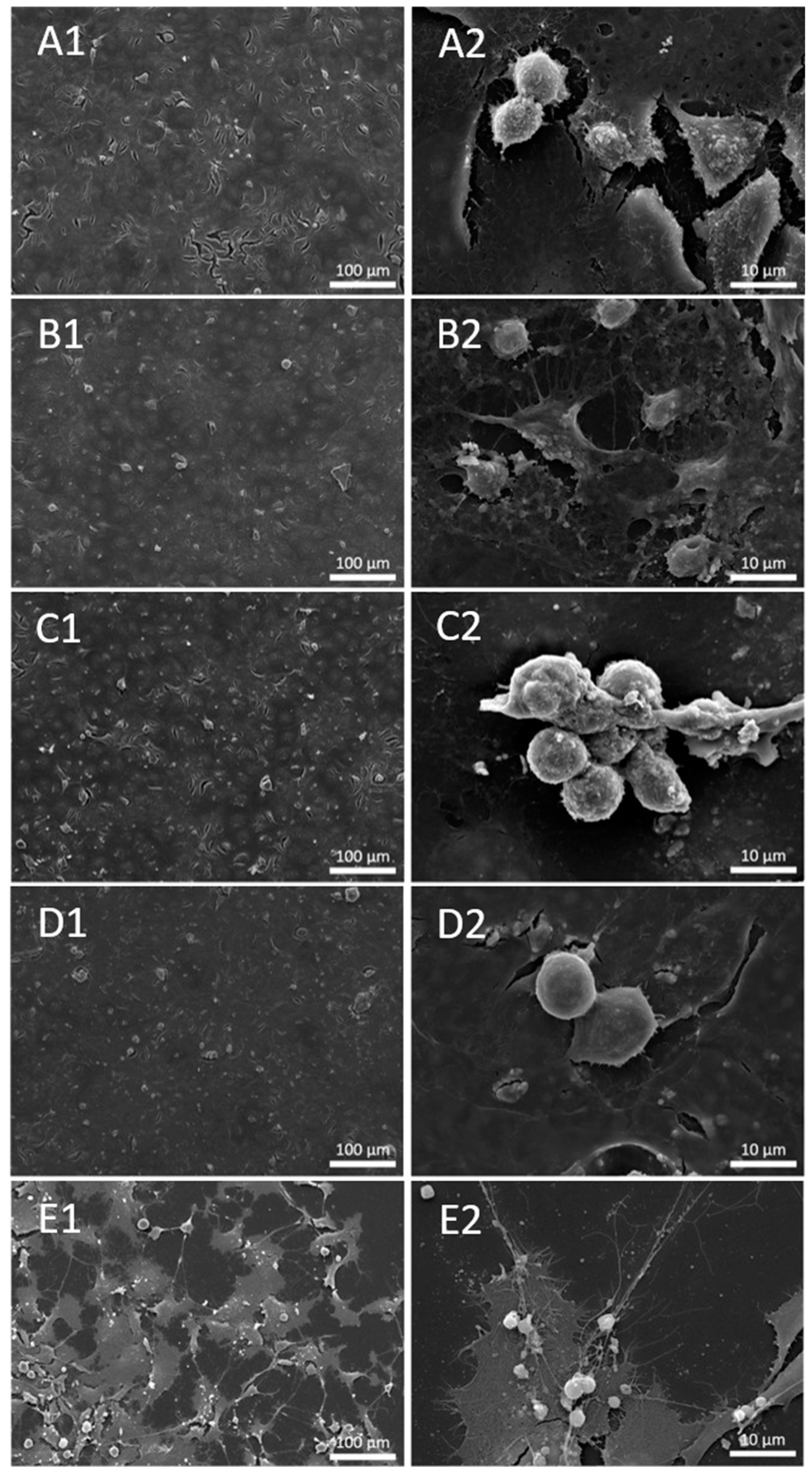 Materials 16 03287 g002