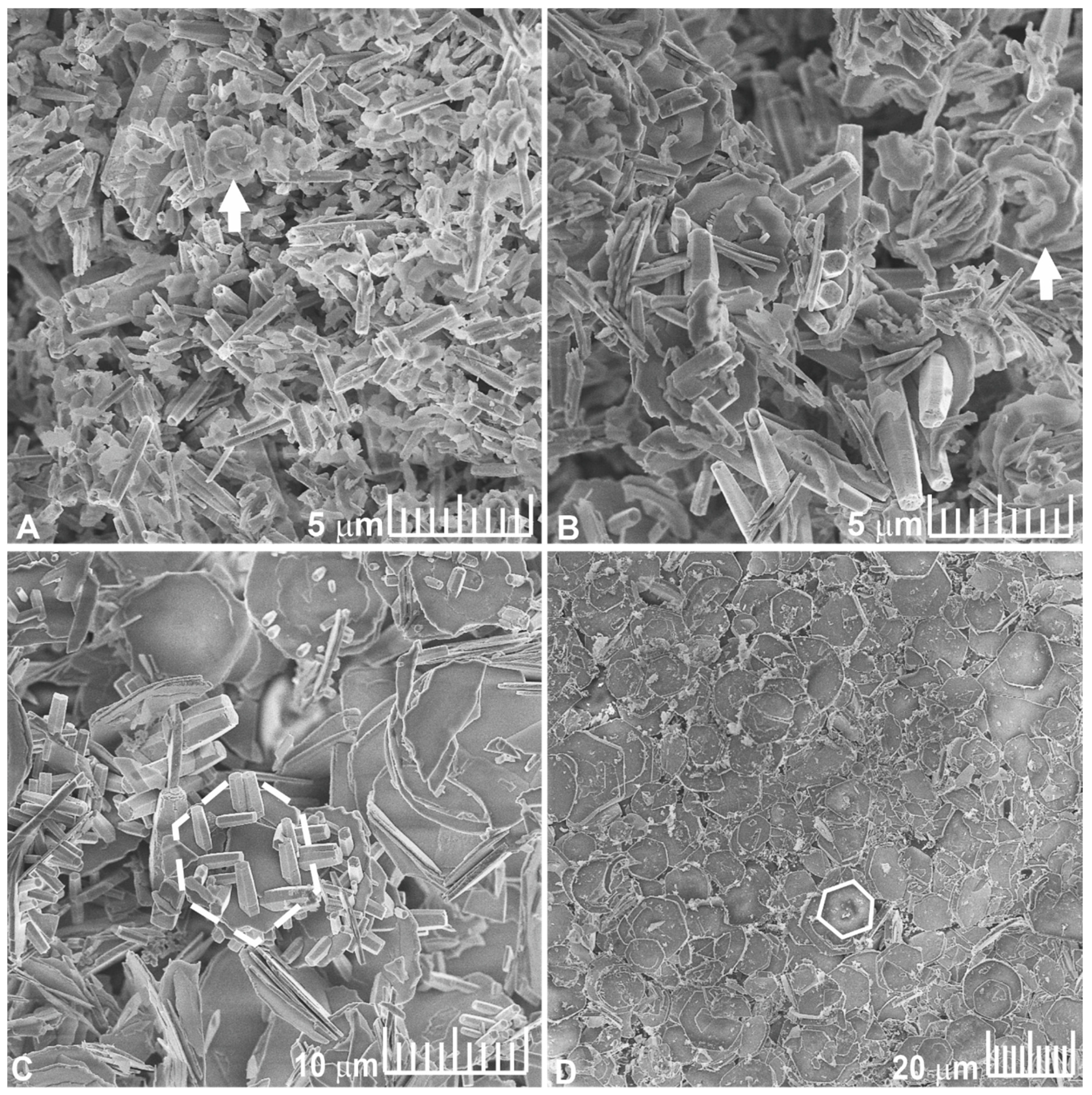 Materials 16 03294 g001 Materials 16 03294 g001