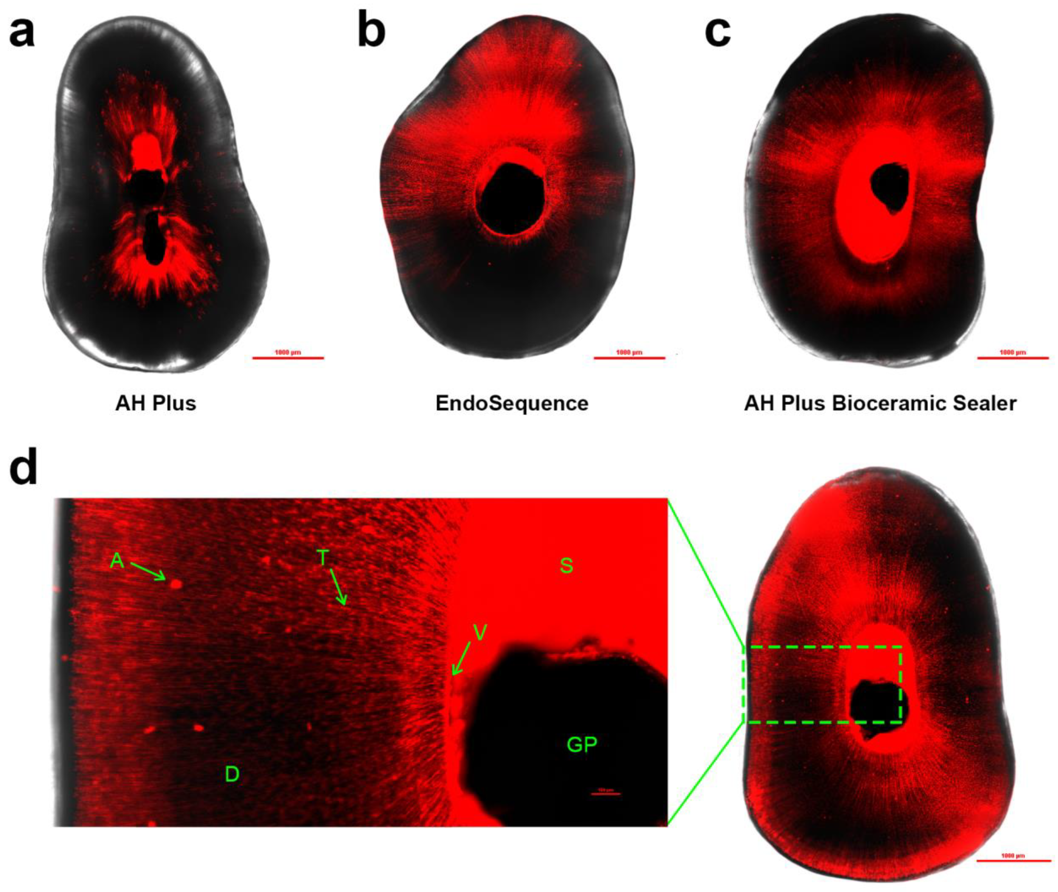 Materials 16 03309 g002 Materials 16 03309 g002