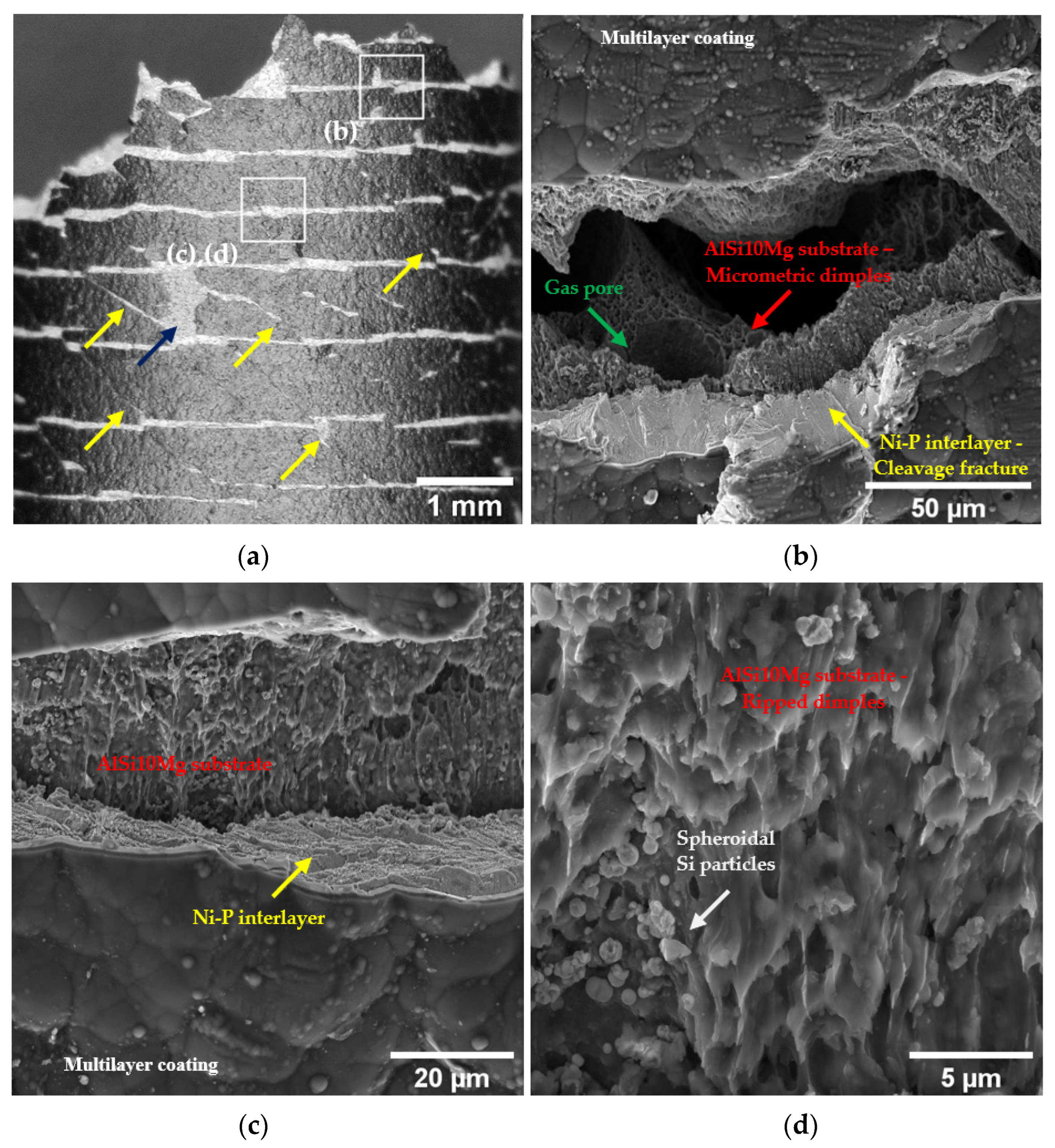 Materials 16 03313 g010